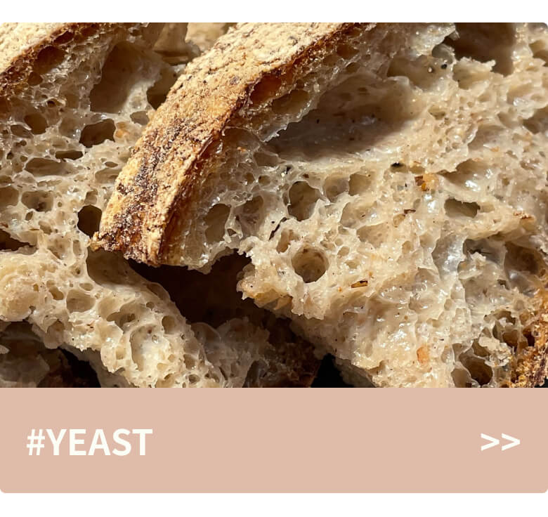 YEAST
