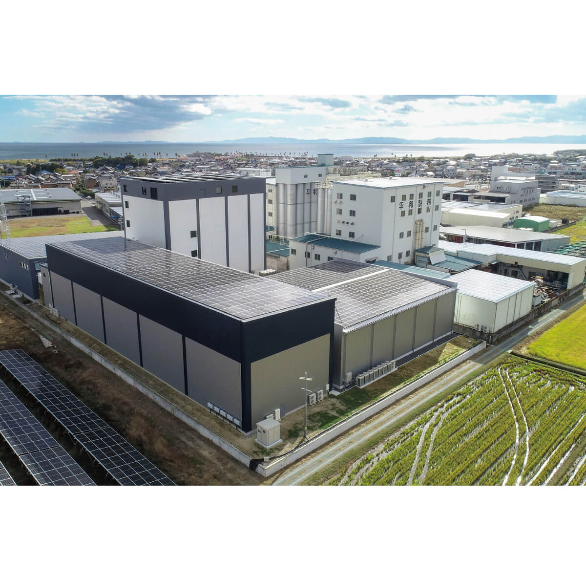 平和製粉株式会社