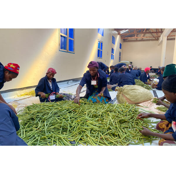 Artisans Farm