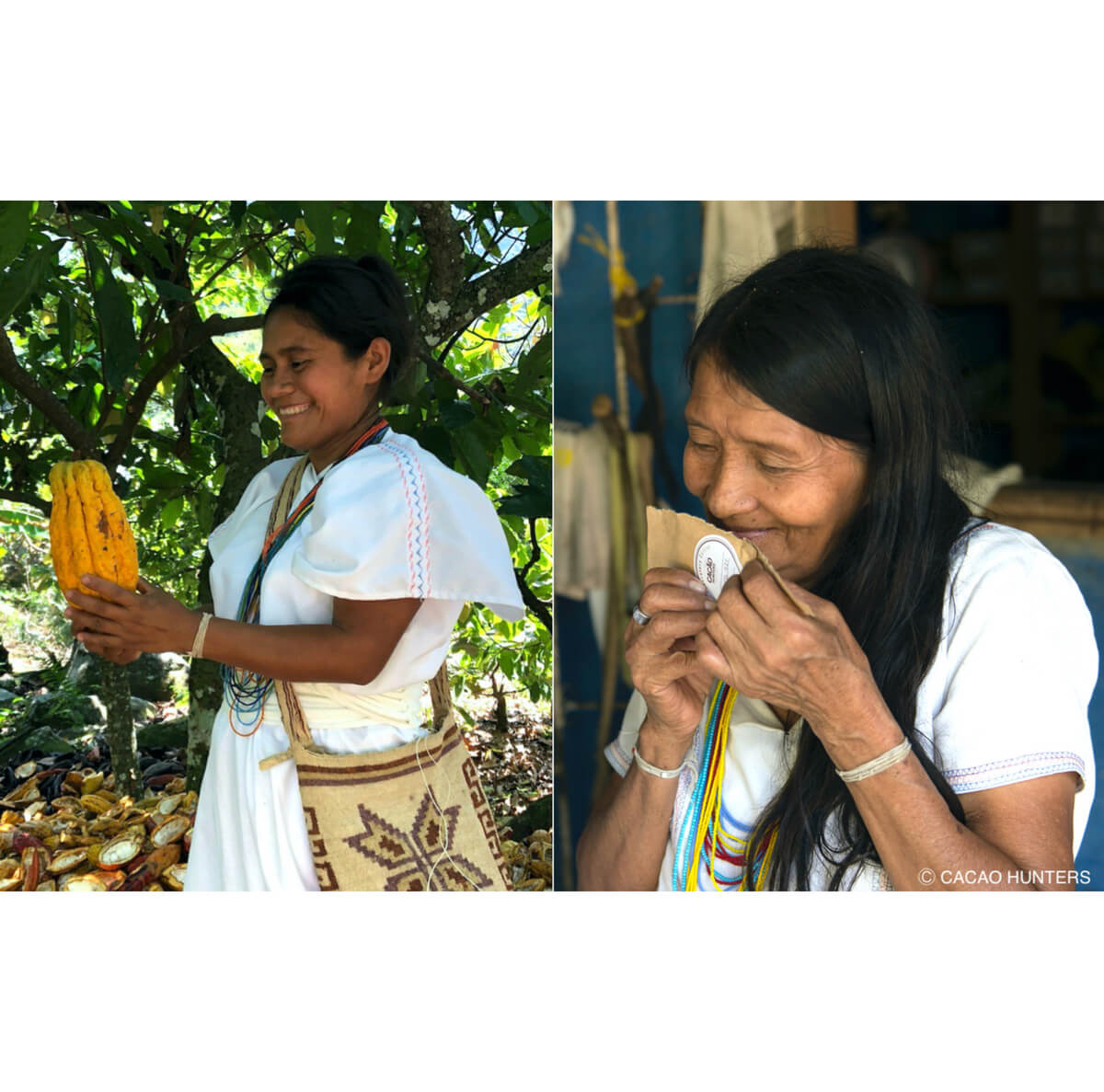 CACAO HUNTERS