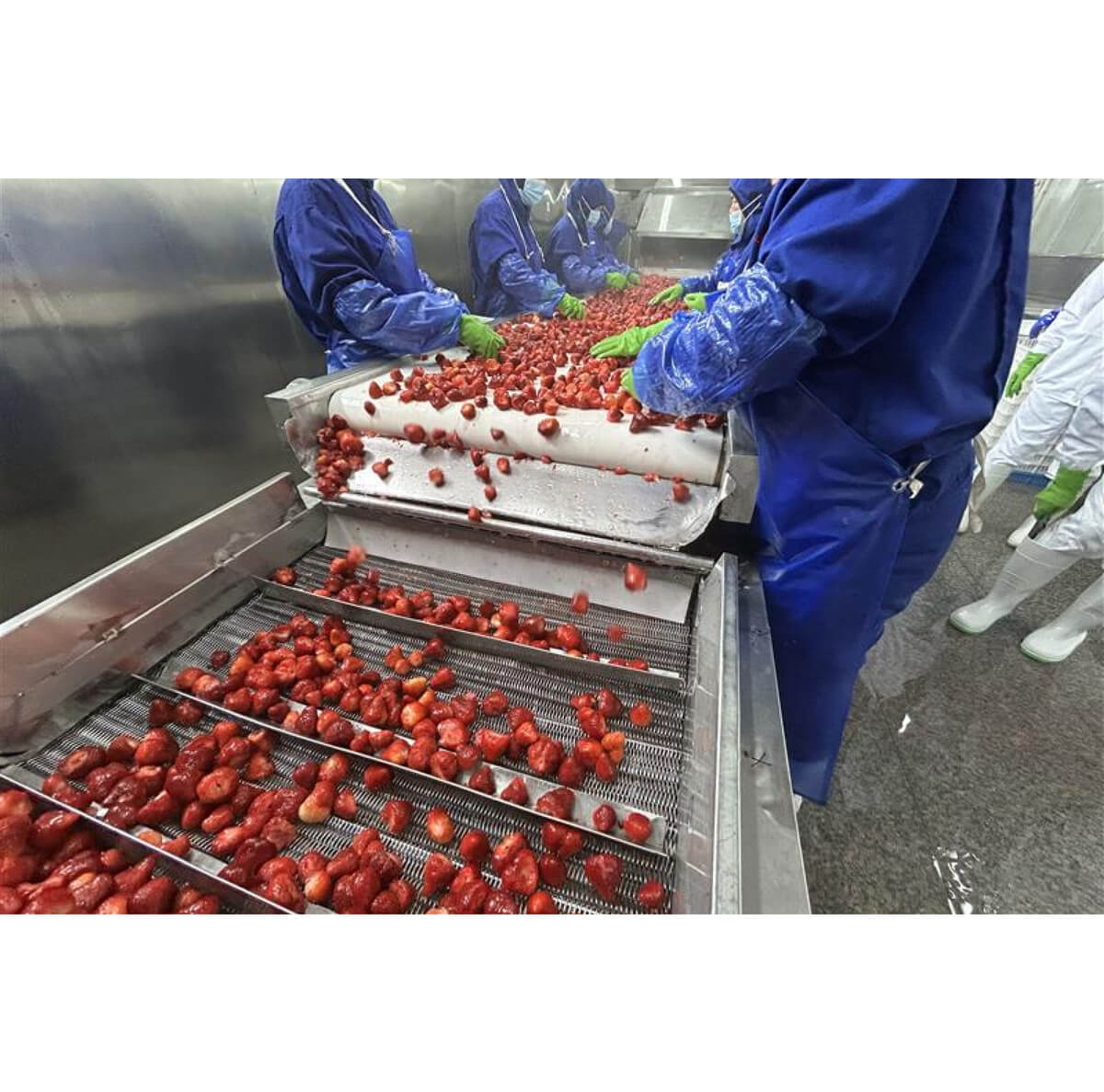 Wismettacフーズ株式会社 (ウィズメタック)