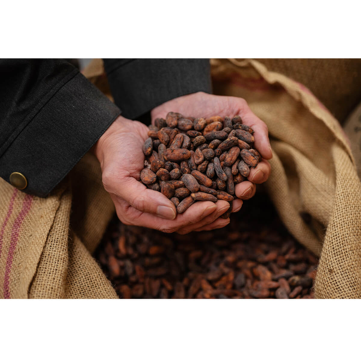 Minimal - Bean to Bar Chocolate -（ミニマル　ビーントゥバーチョコレート）