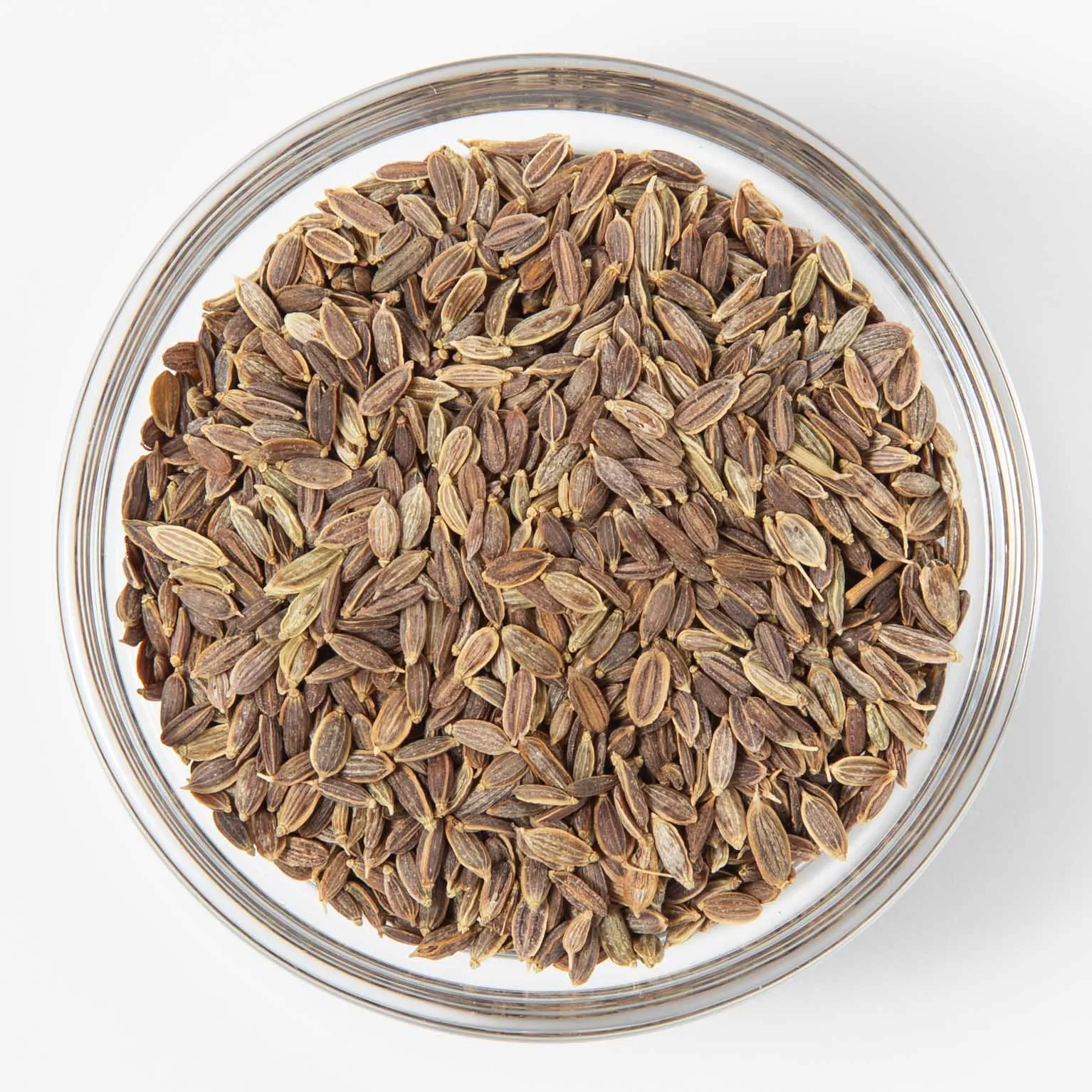 ディルシードホール 100