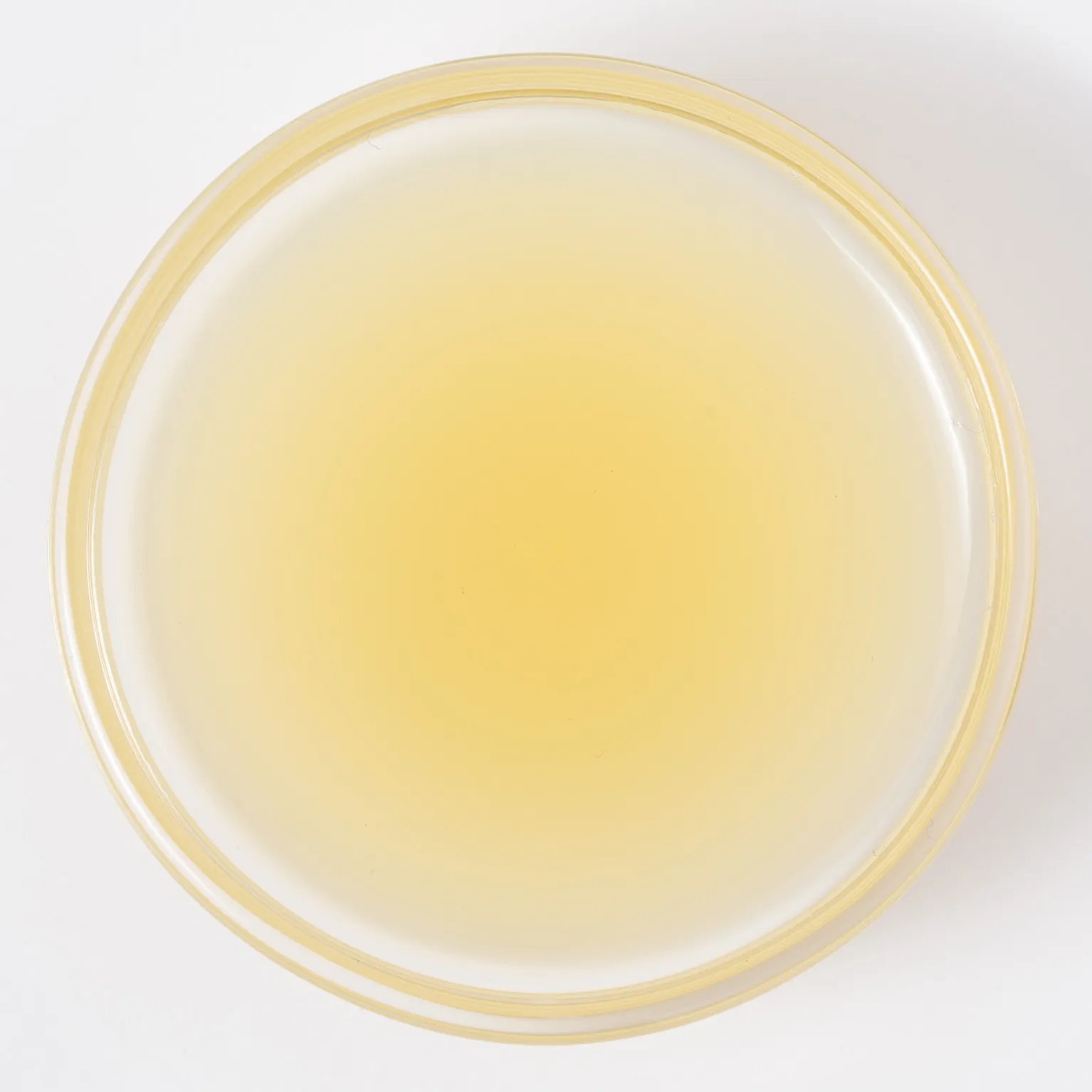 冷凍 レモン果汁スクリュウパック 1