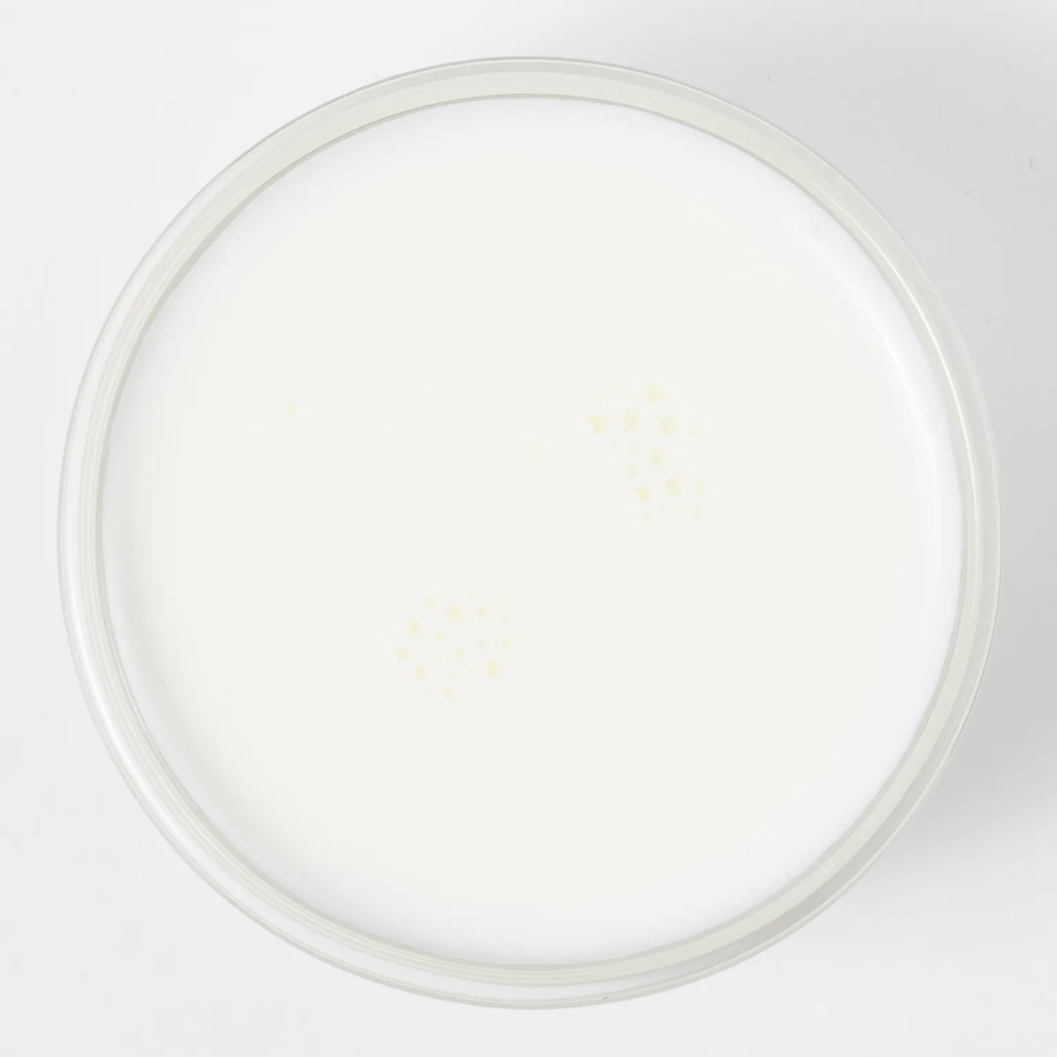 森永牛乳(P1000) 1,000