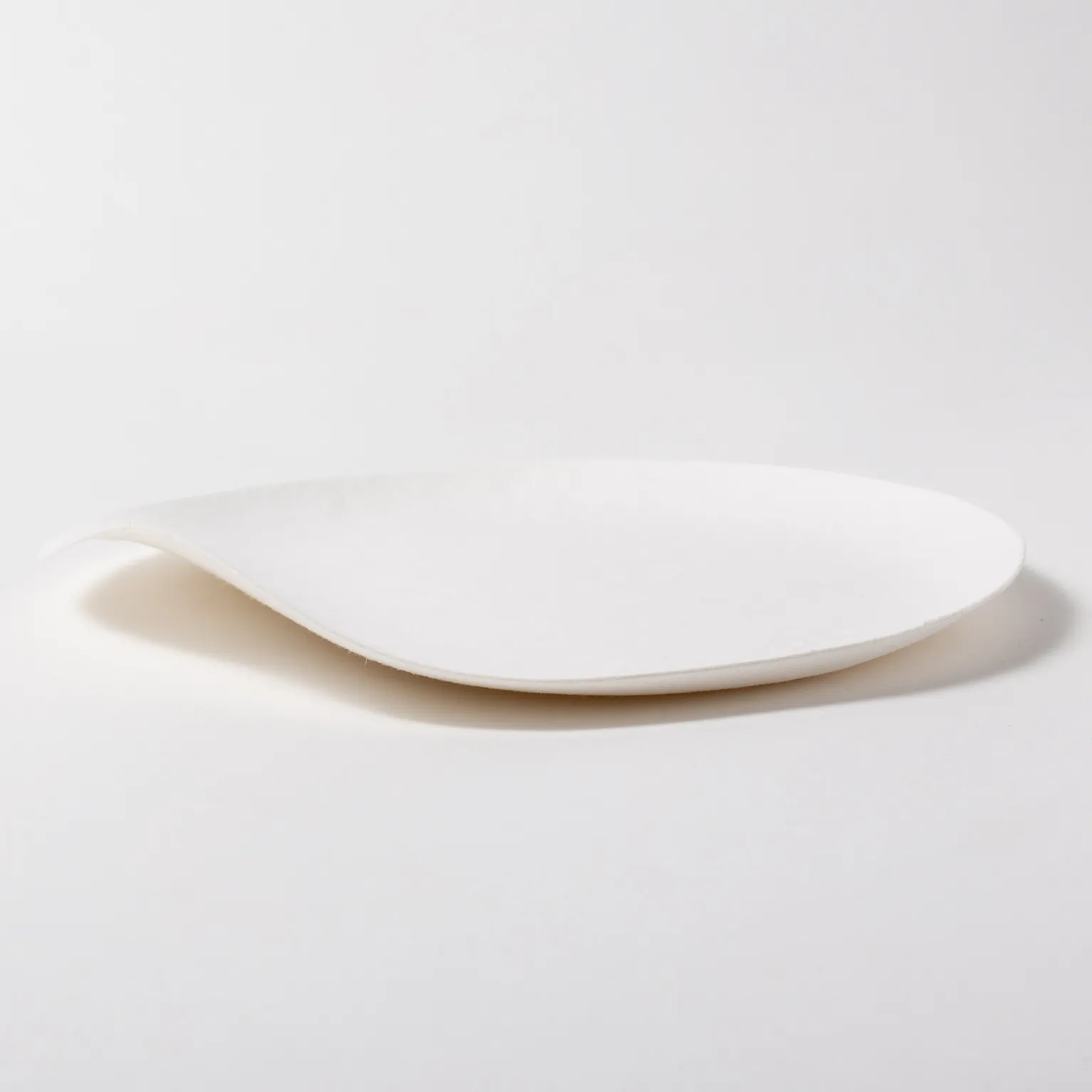 WASARA 丸皿（中） 100