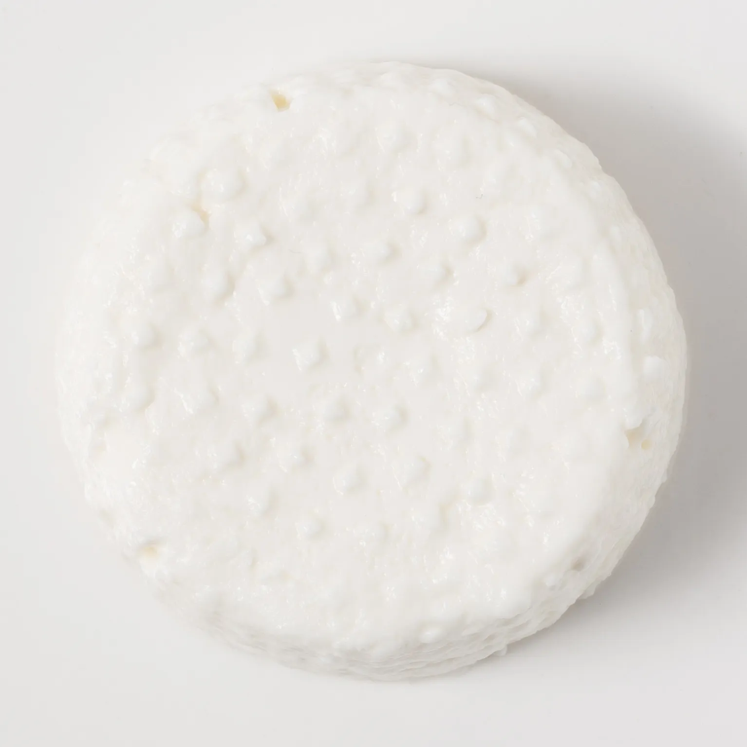 楽人(ラクト) 60