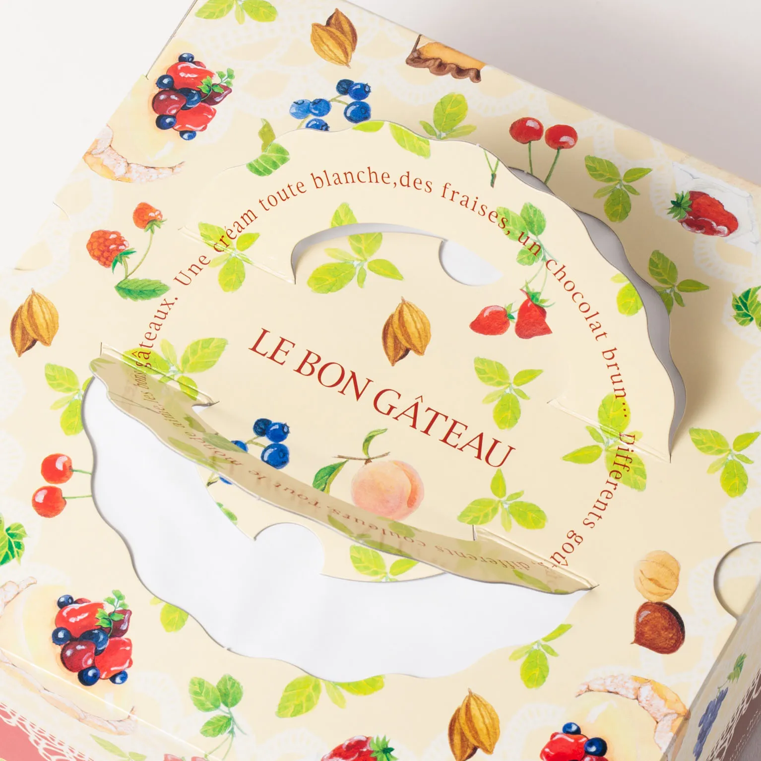 TD シェリー H120 6寸 100