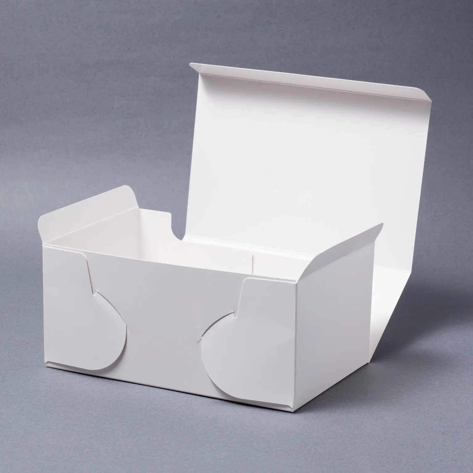 SAサービス 2号 100