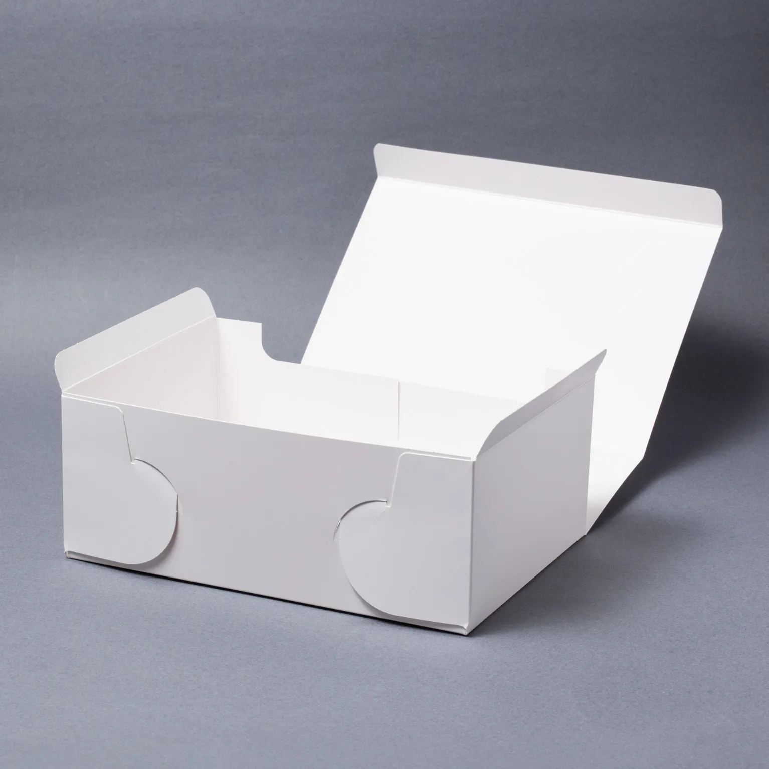 SAサービス 3号 100