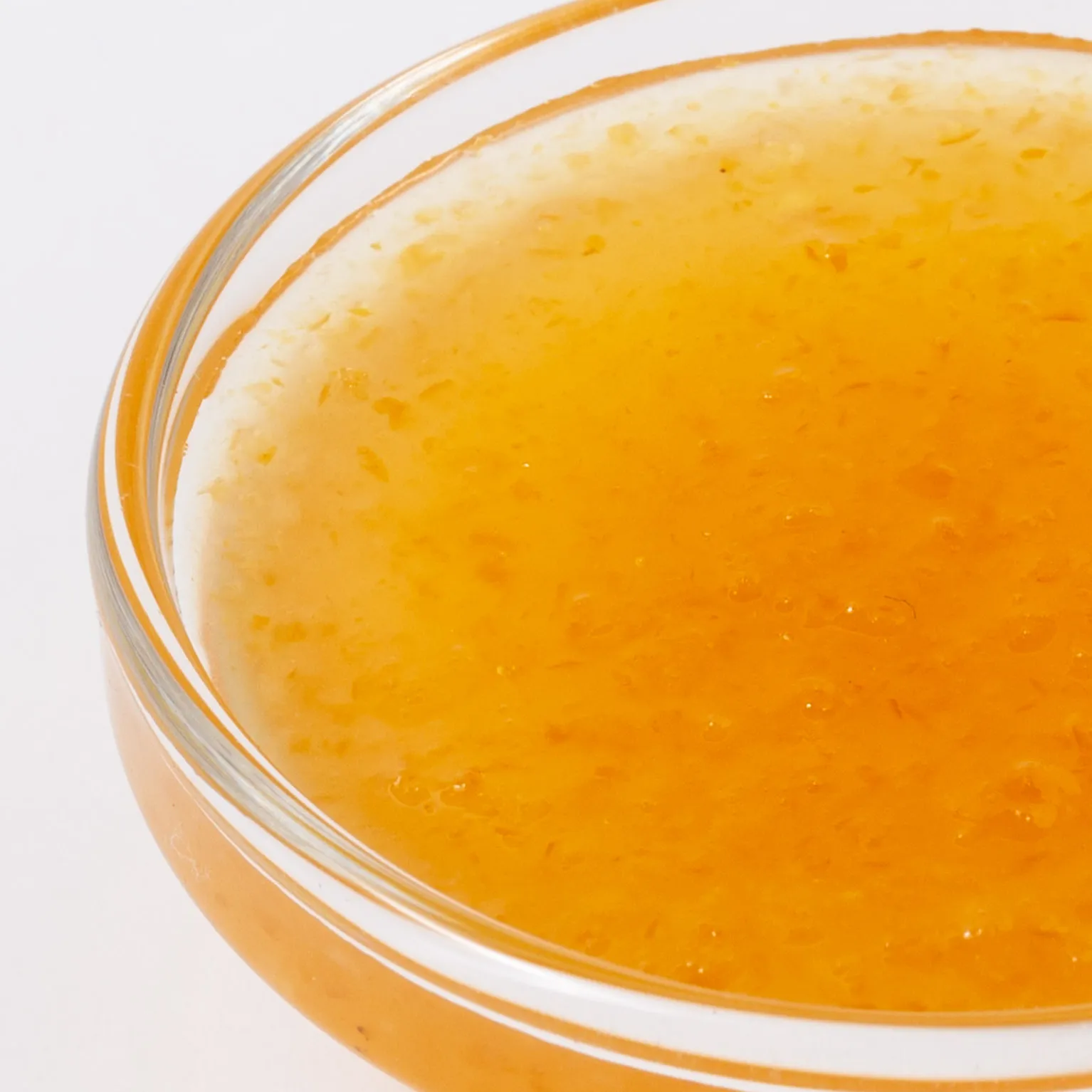 N.レモンペースト FJ2010 1