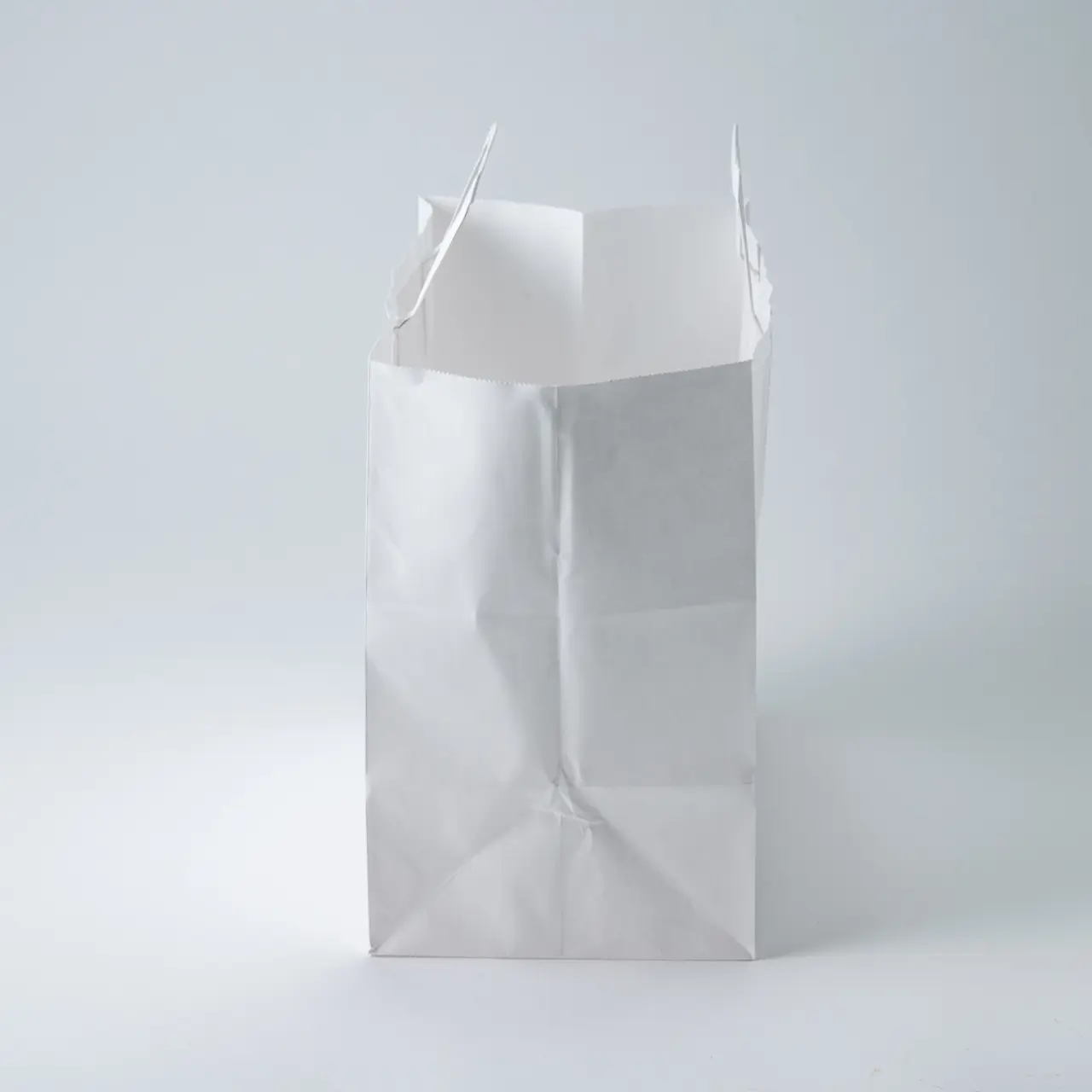 手提げ紙袋25チャームバッグ平手Ｅ判 晒白無地 50