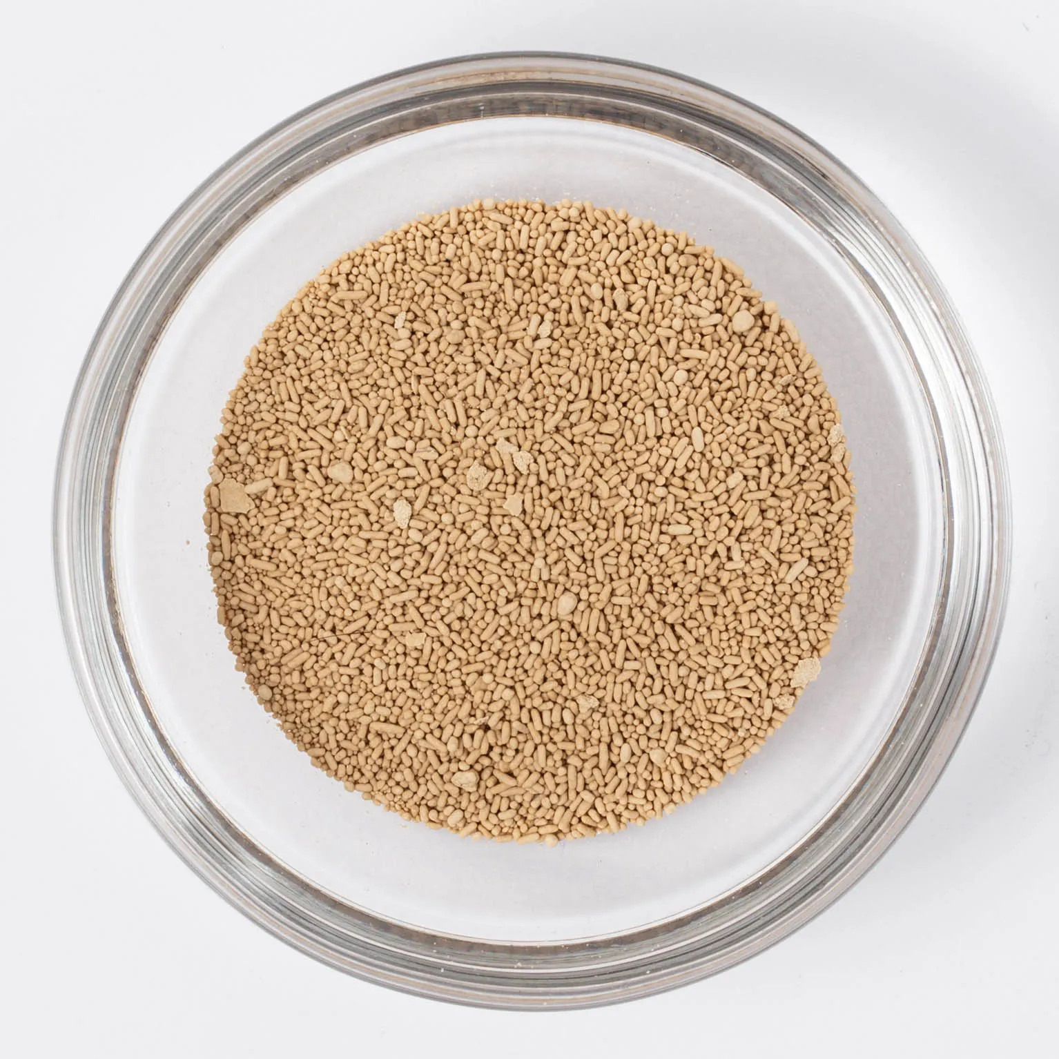 有機穀物の天然酵母 3