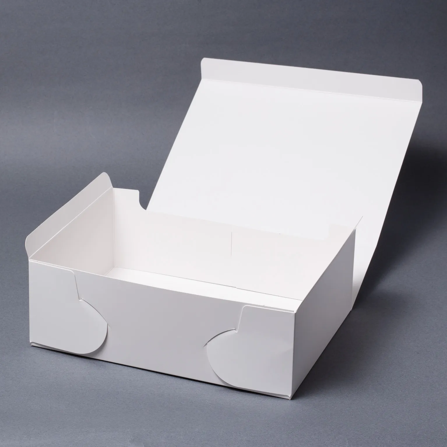 SAサービス 4号 100