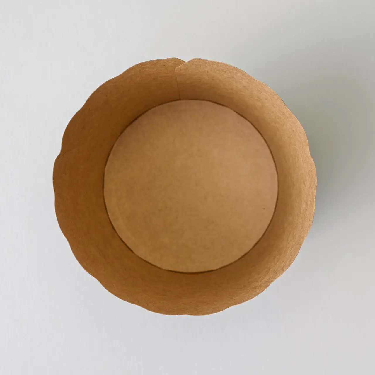 NP-4F(65H) アイアンBK 100