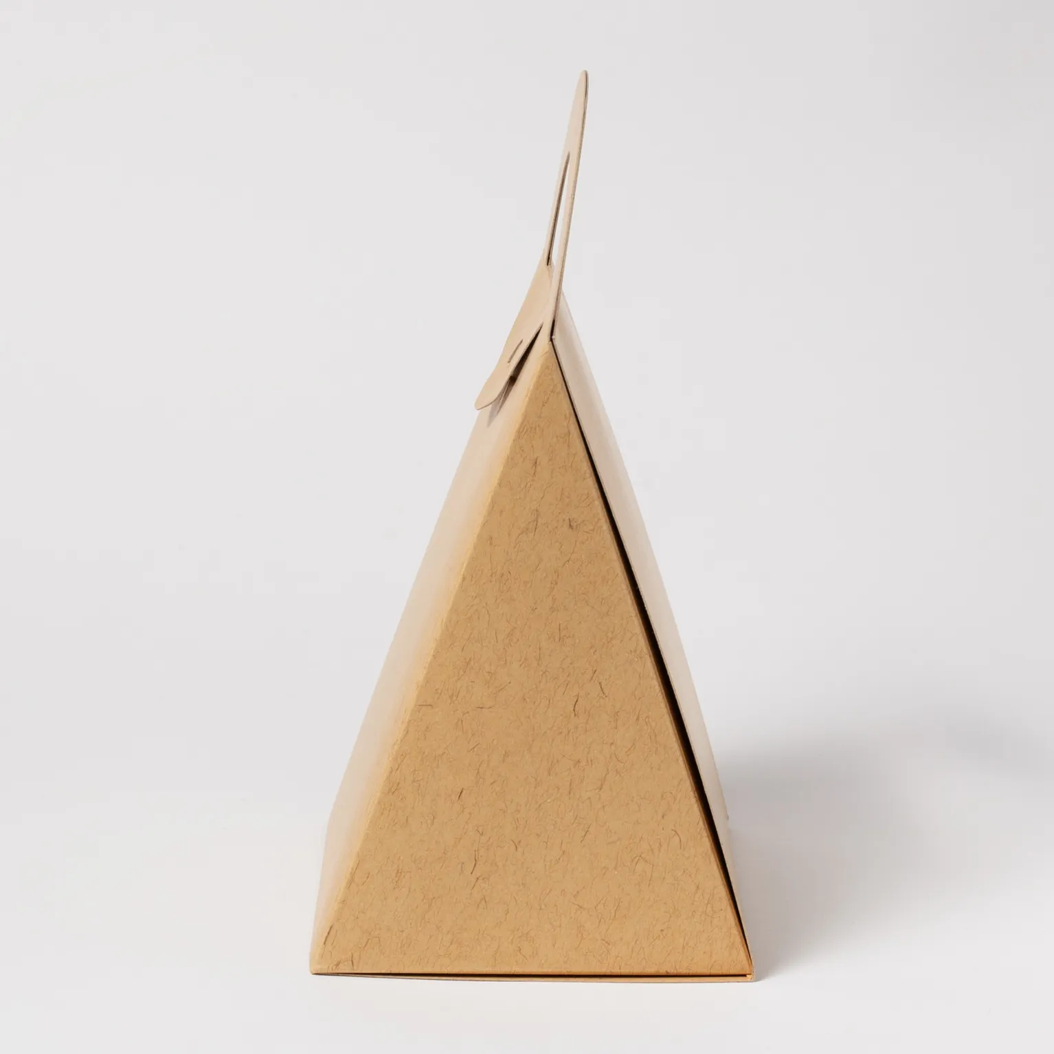 Nキャリー ウッズ 100