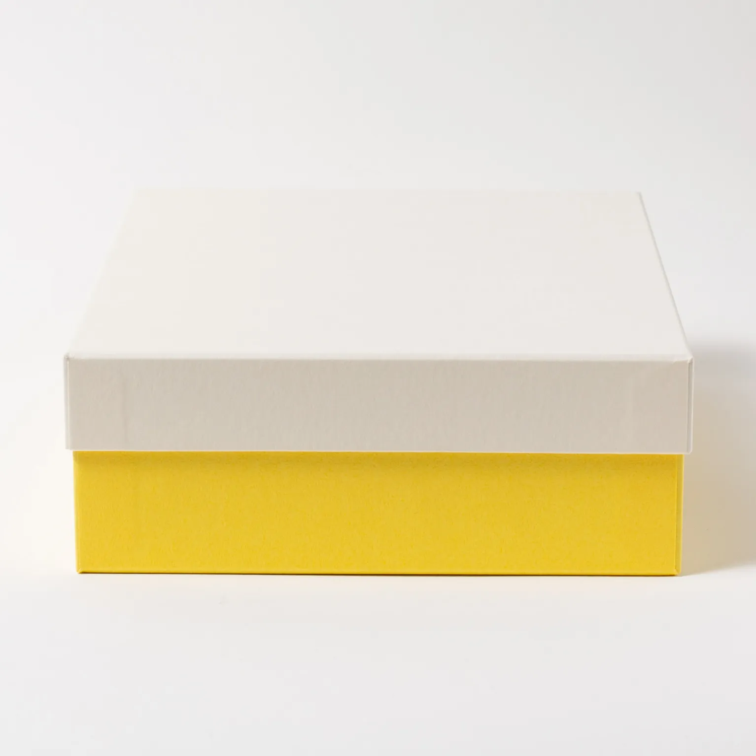 1761 パステルフェザー ギフトケース M ホワイト×イエロー 50
