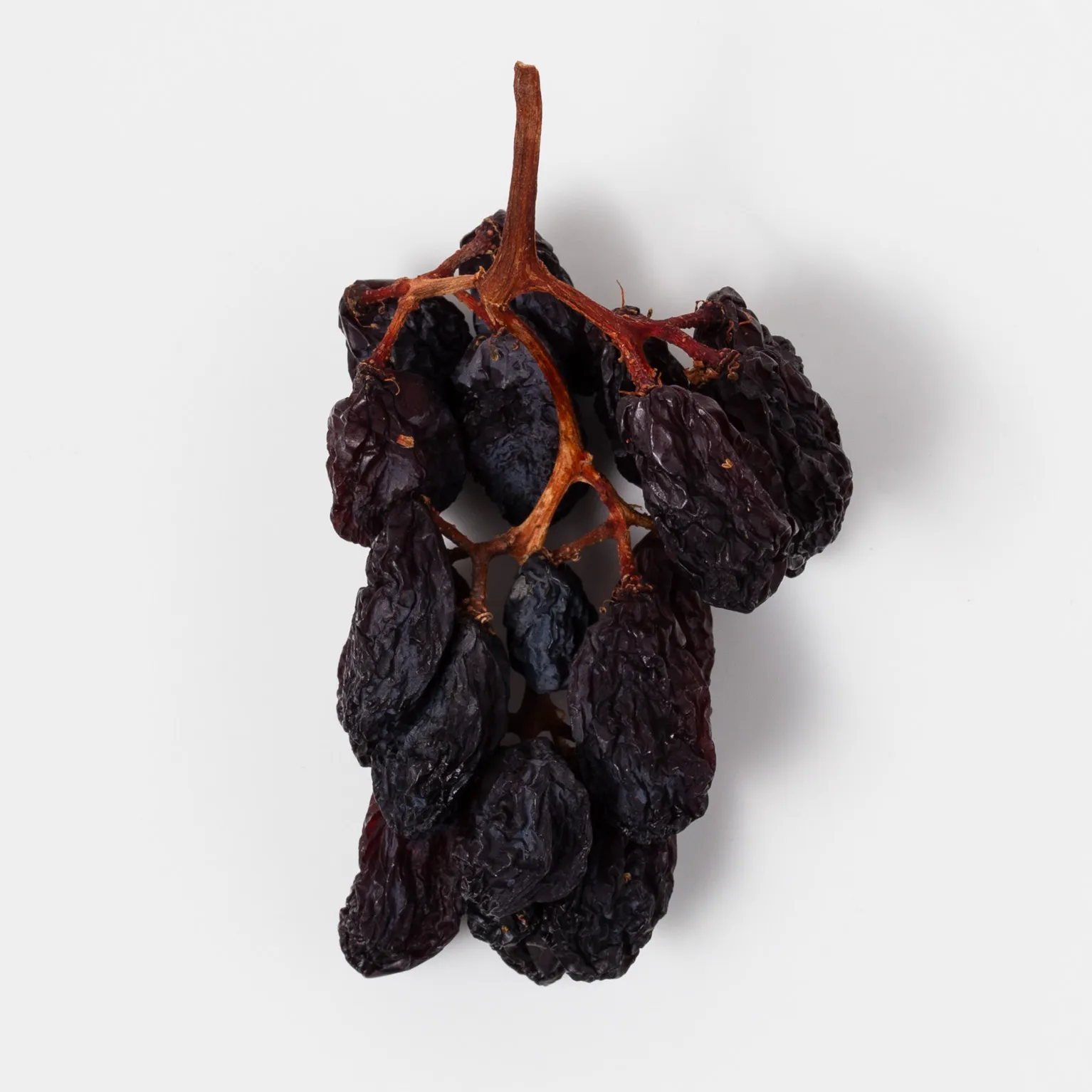 チリ産枝付きレーズン 500