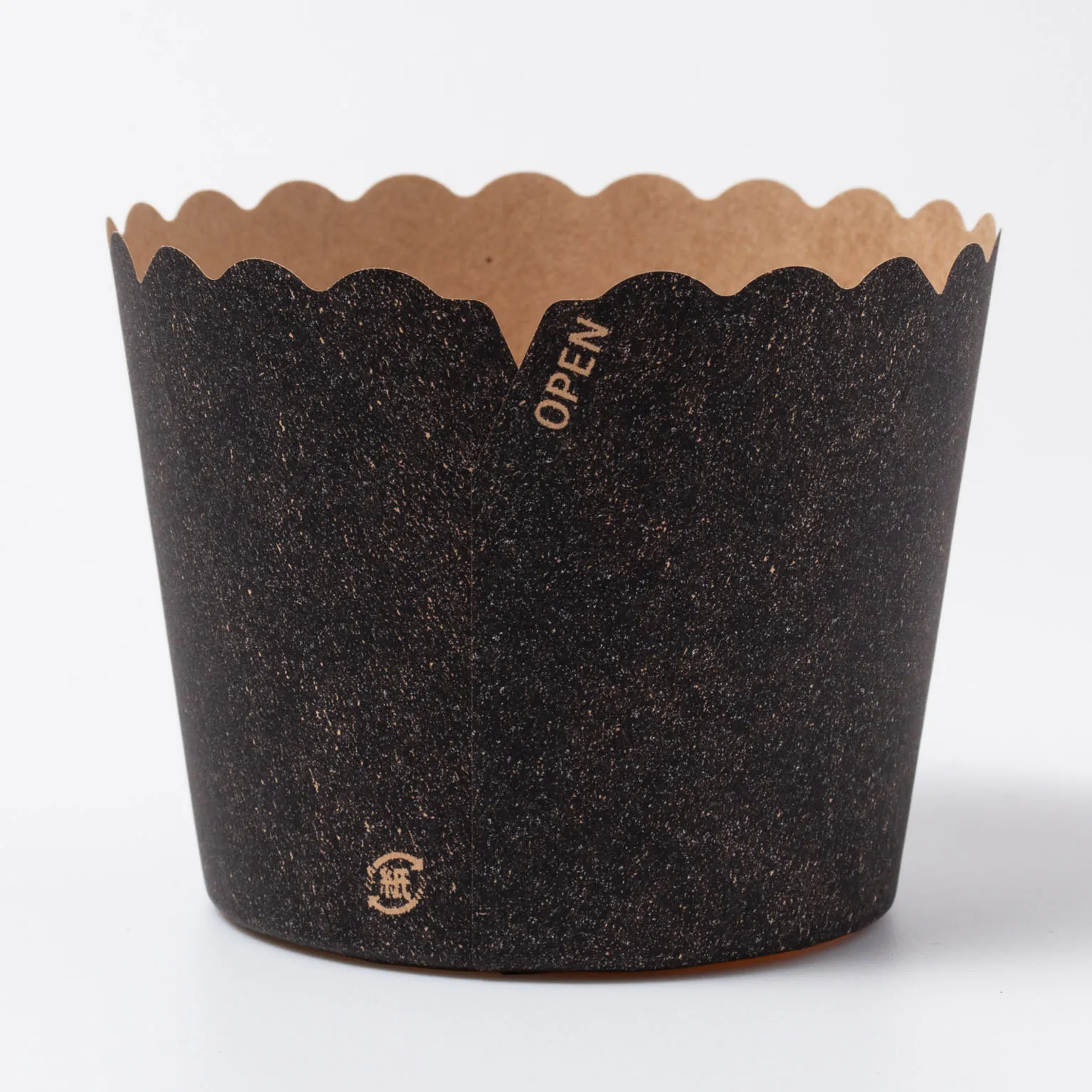 NP-6F(65H) アイアンBK 100