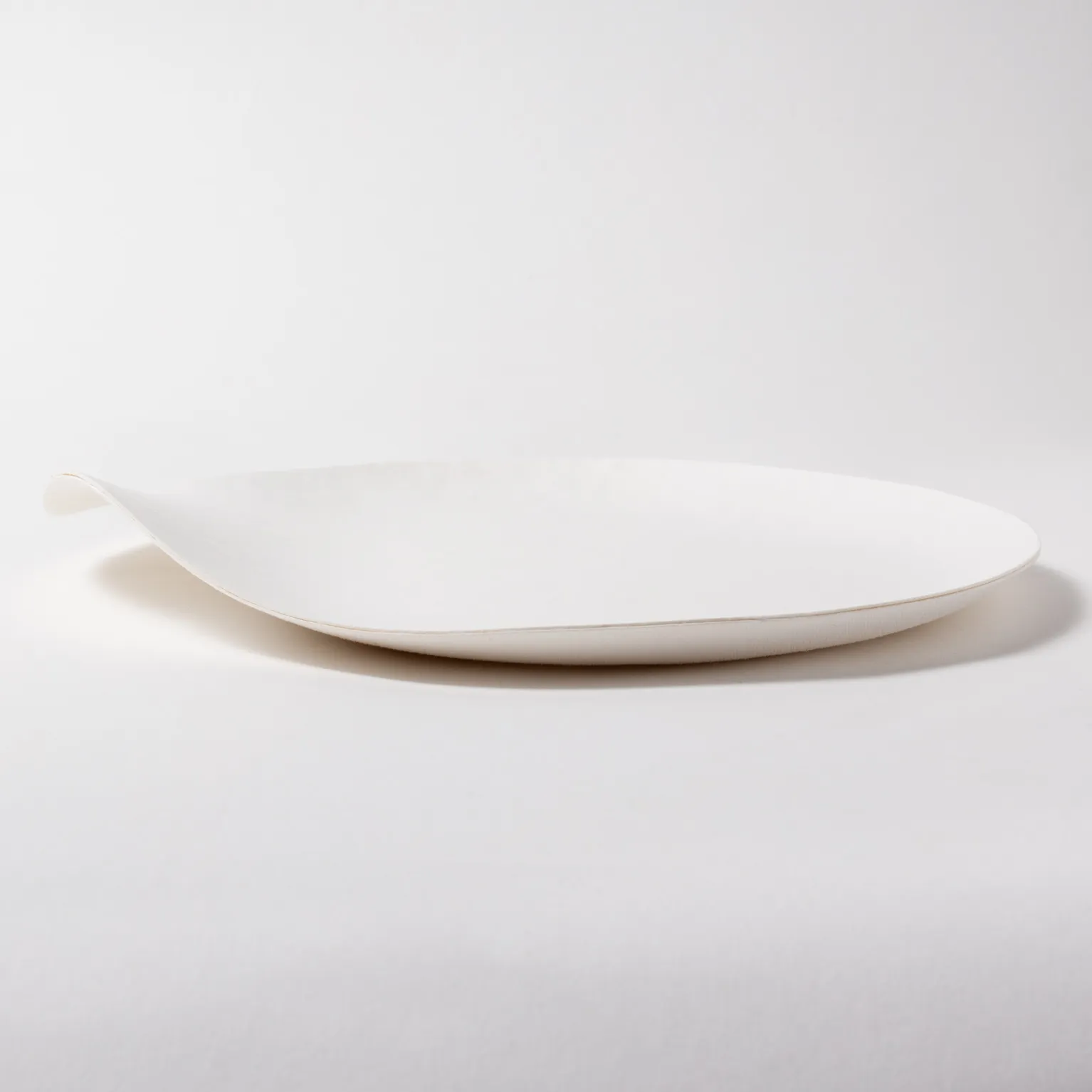 WASARA 丸皿（大） 100