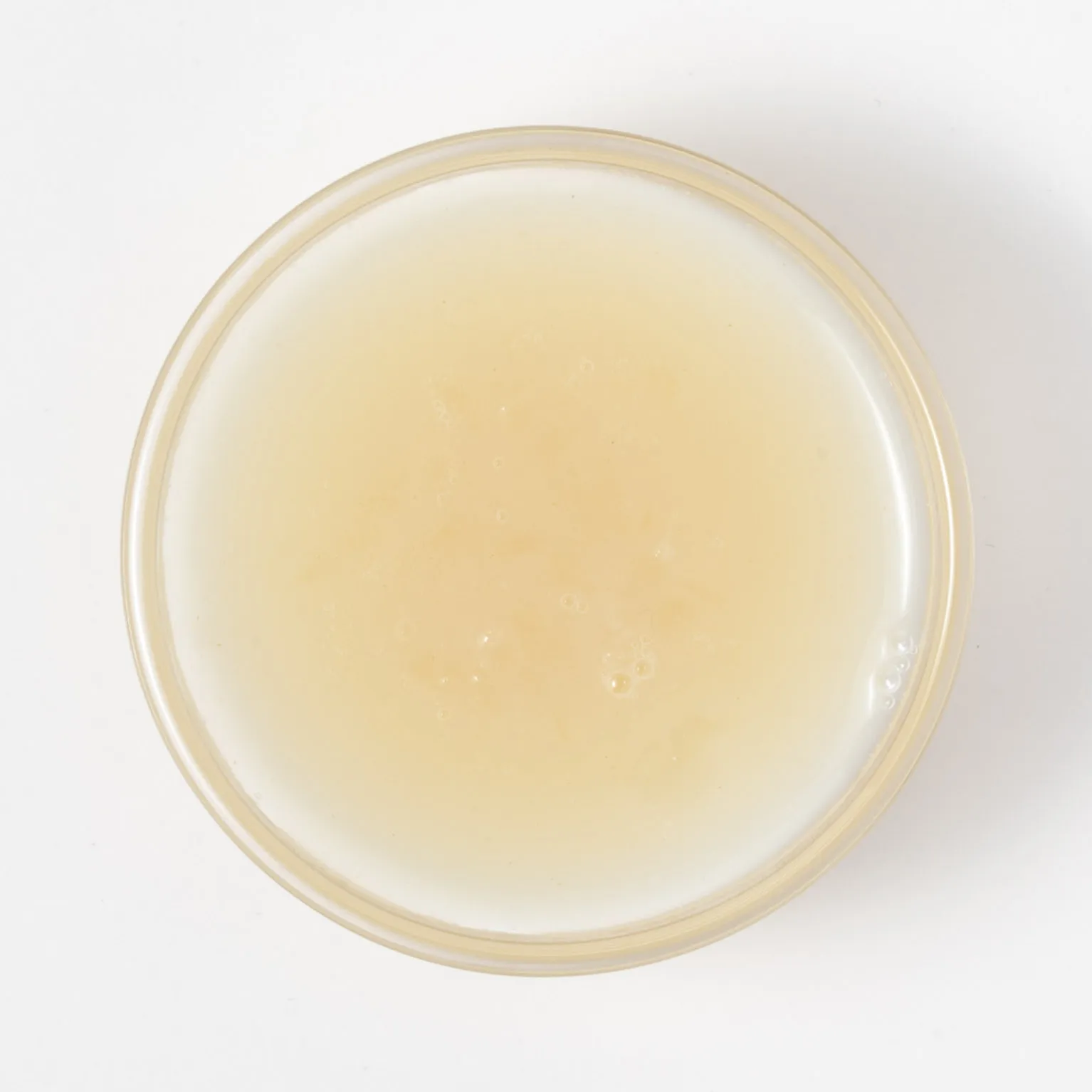 キャップフリュイ ライチピューレ(無糖) 1