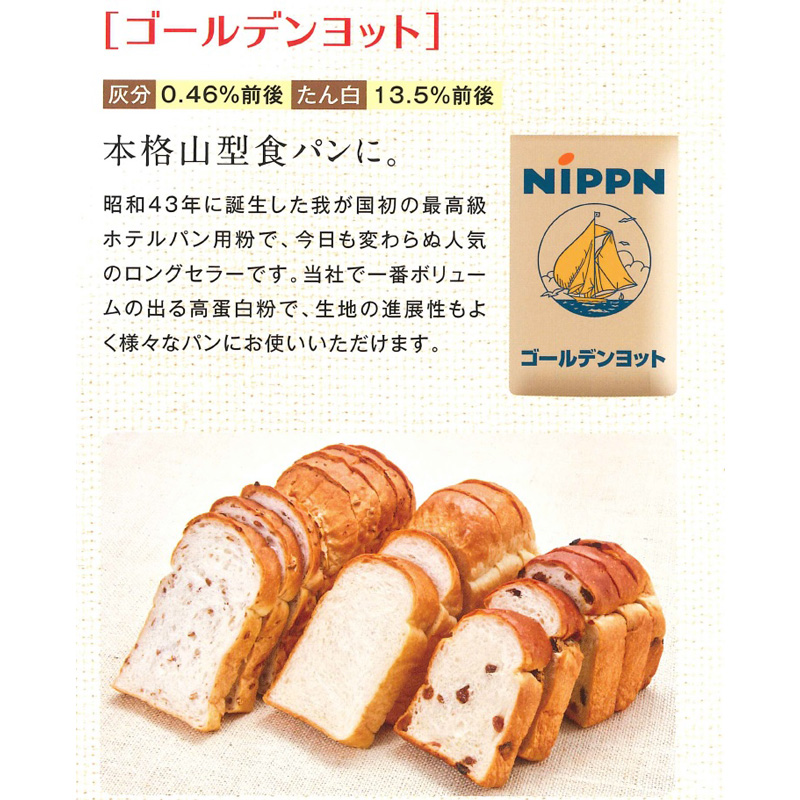 ゴールデンヨット 2.5