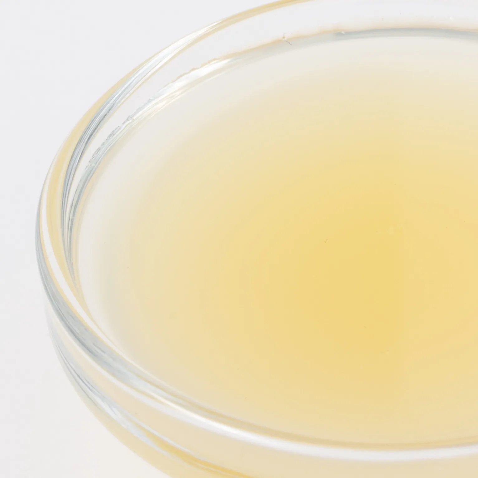 冷凍 レモン果汁スクリュウパック 1