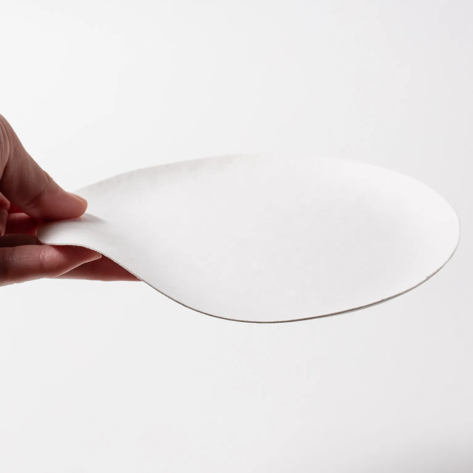 WASARA 丸皿（中） 100