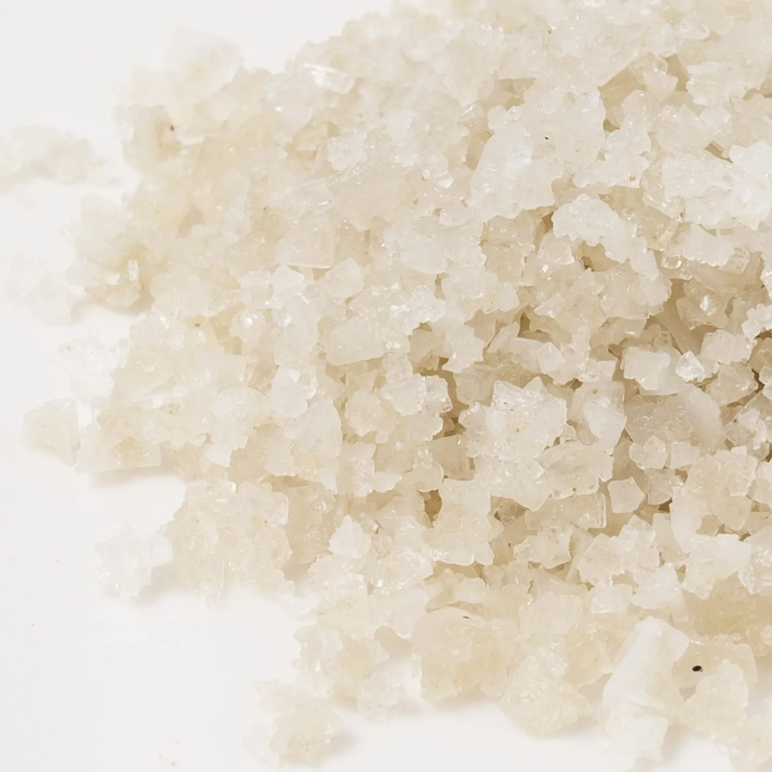 セルグロナチユールエプログレ 1