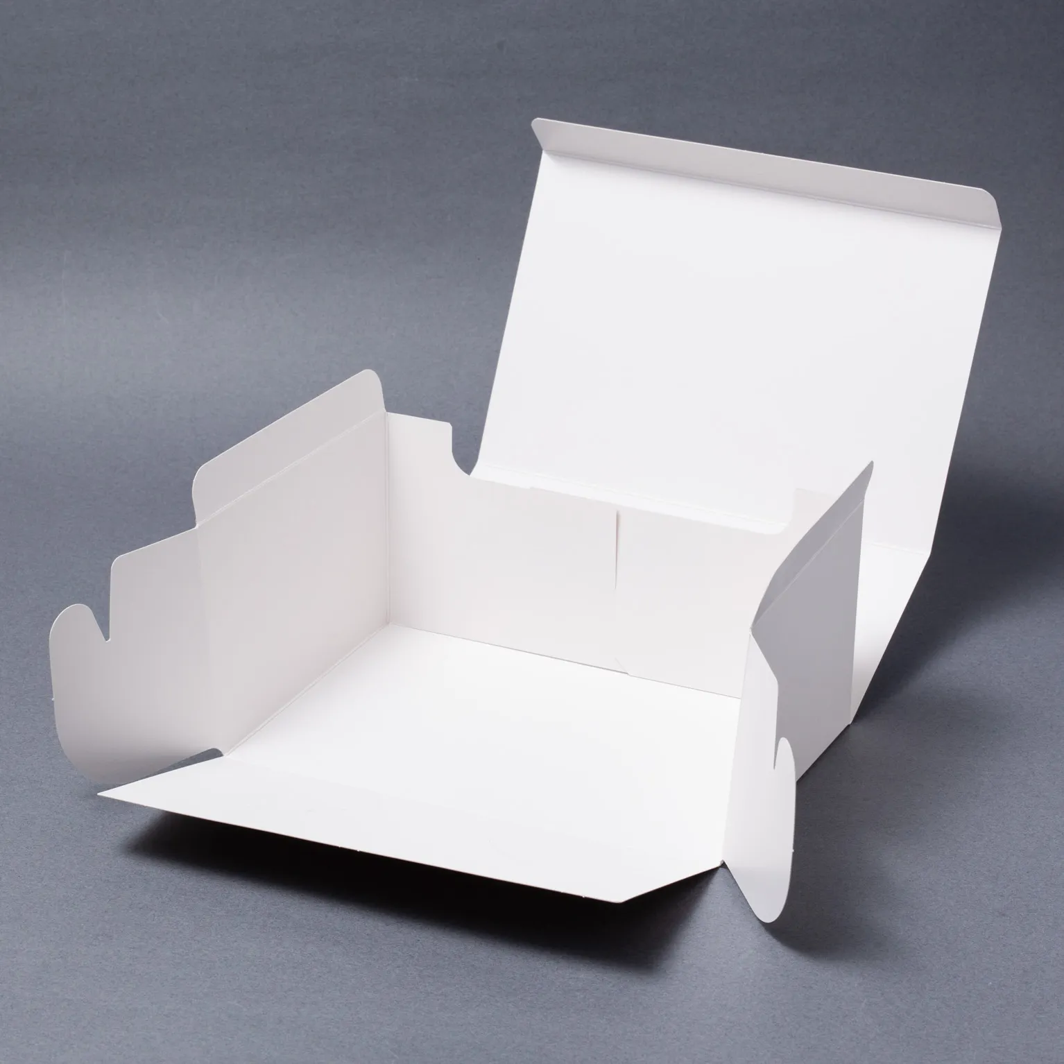 SAサービス 2号 100