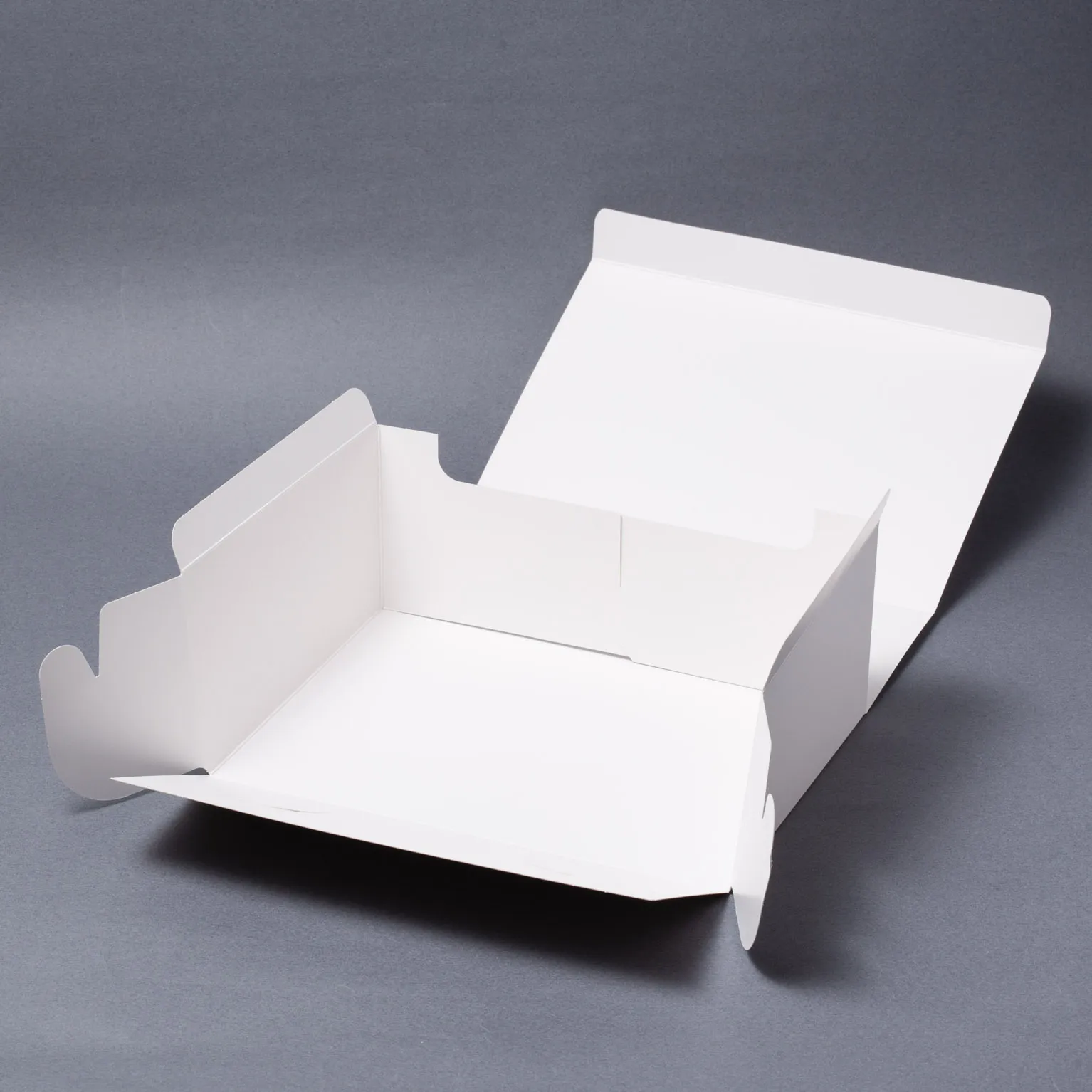 SAサービス 3号 100