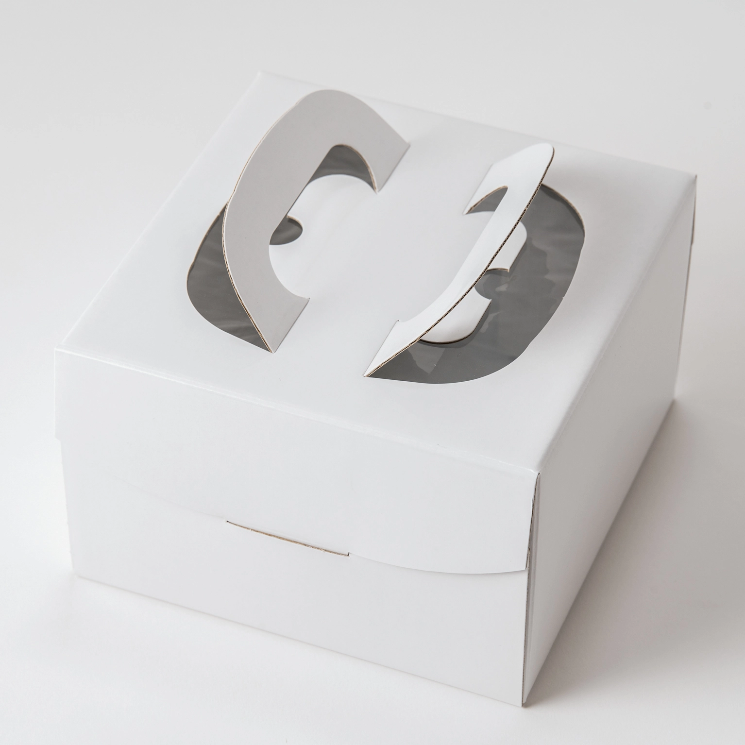 FB ホワイト 5寸 25