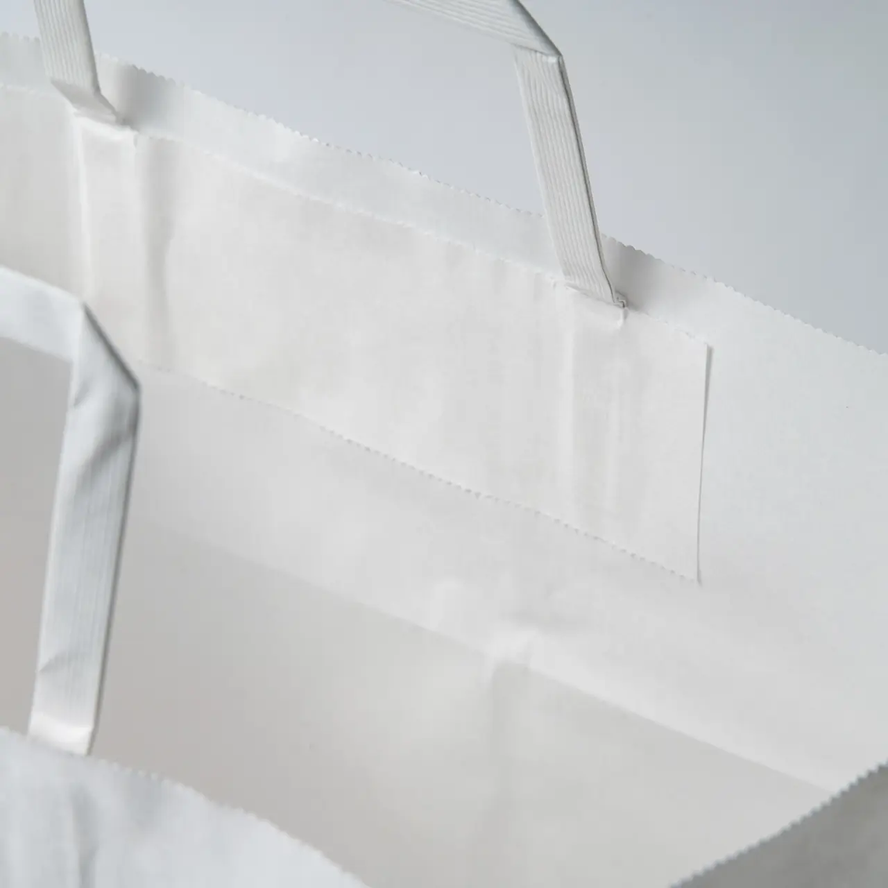 手提げ紙袋25チャームバッグ平手Ｅ判 晒白無地 50