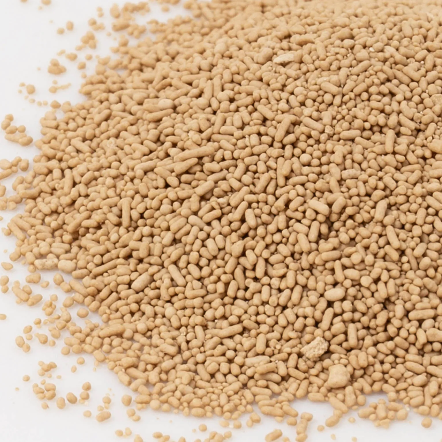 有機穀物の天然酵母 3