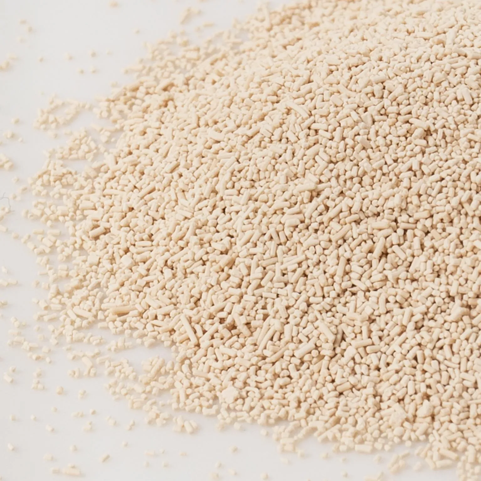 リロンデル 1895 400