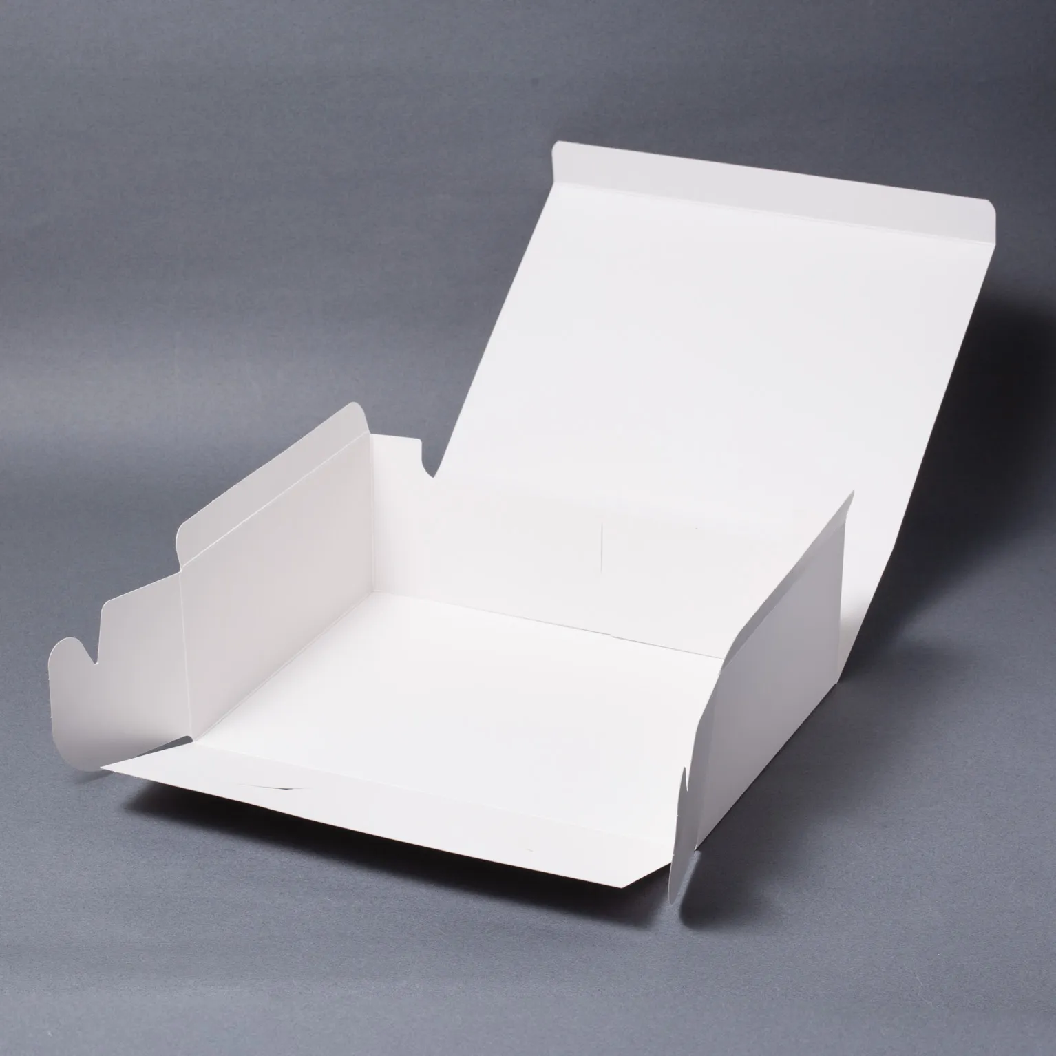 SAサービス 4号 100