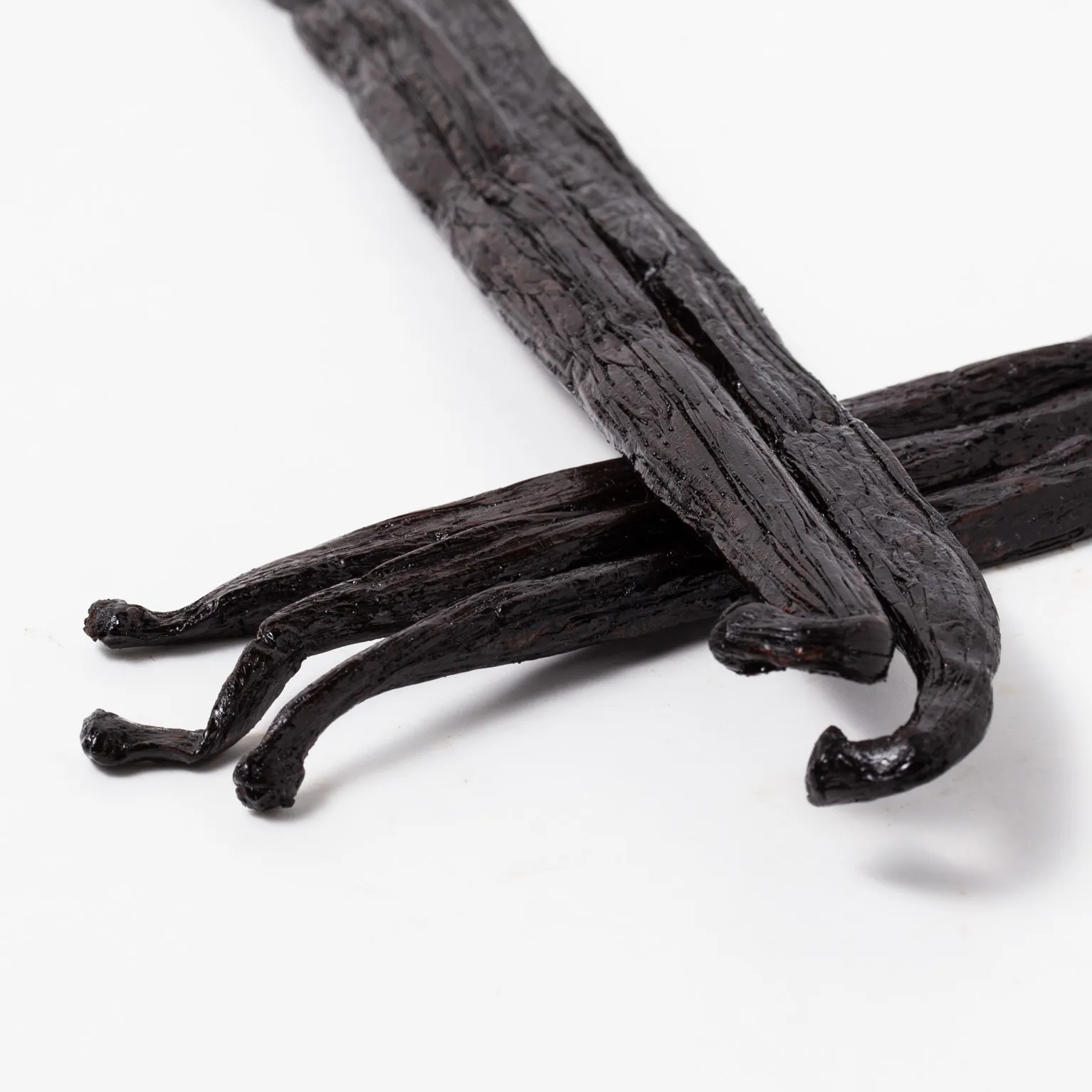 マダガスカル産タヒチ種 (タヒテンシス種) 300