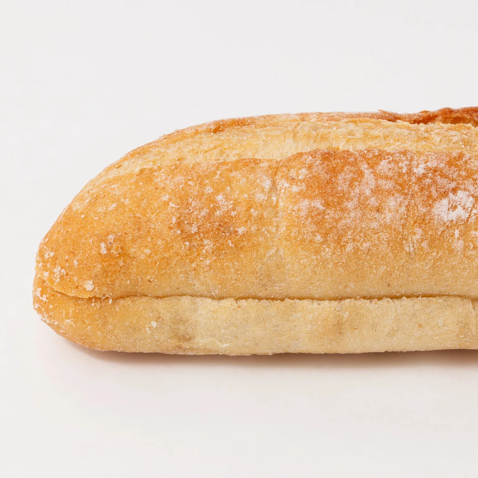 TFカスクート横スリット 61