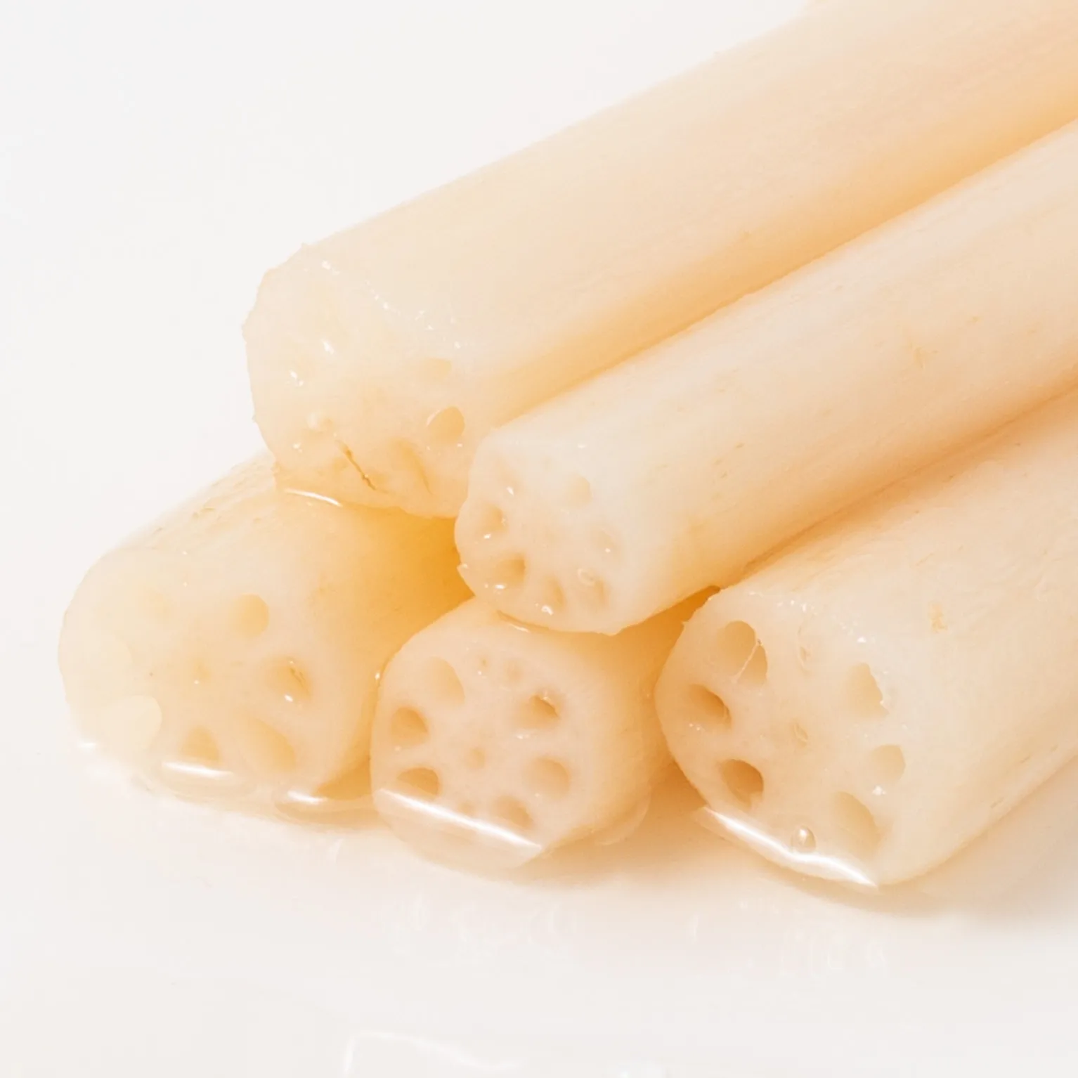 ロータスルートレット(細れんこん) 454