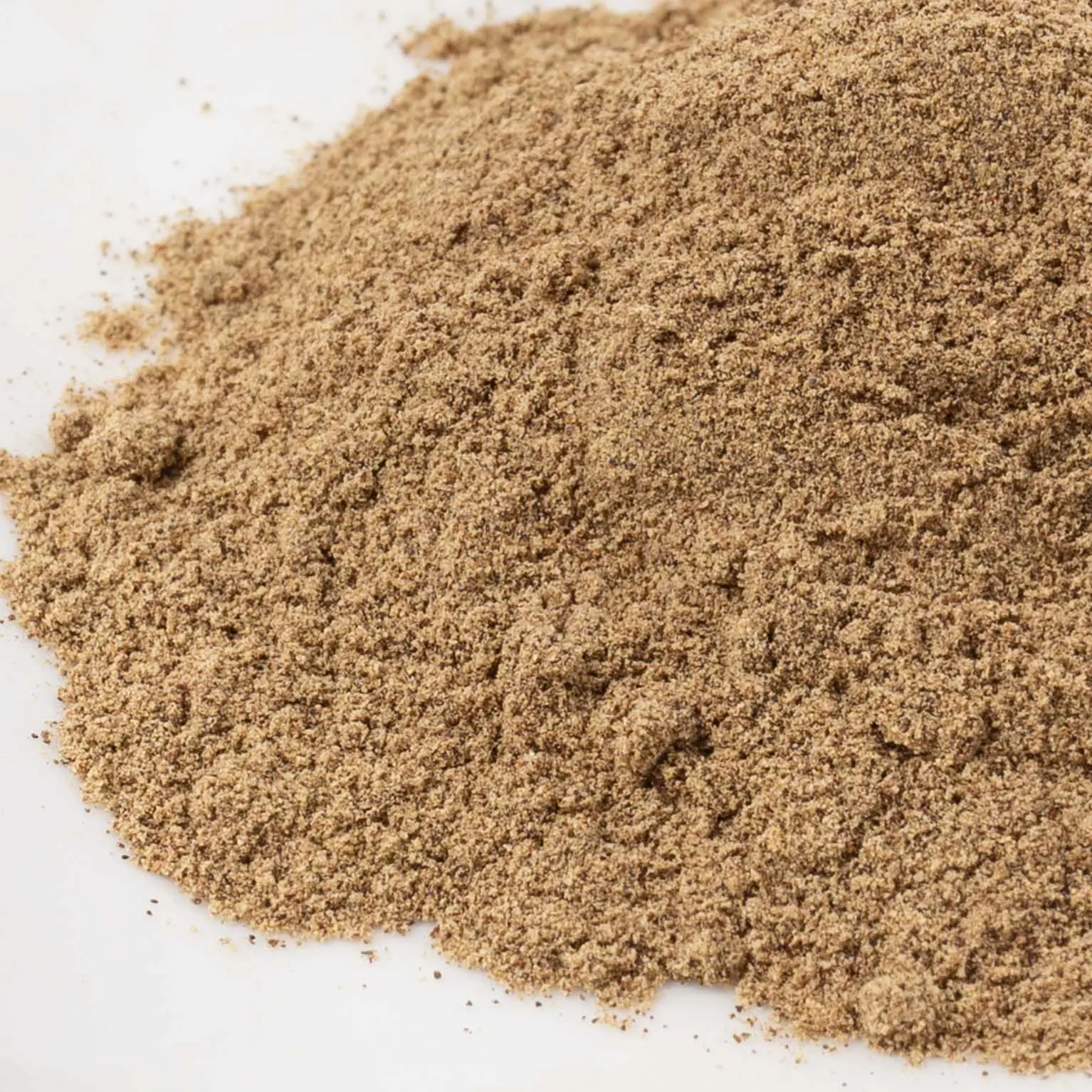 CORAL コショー 400