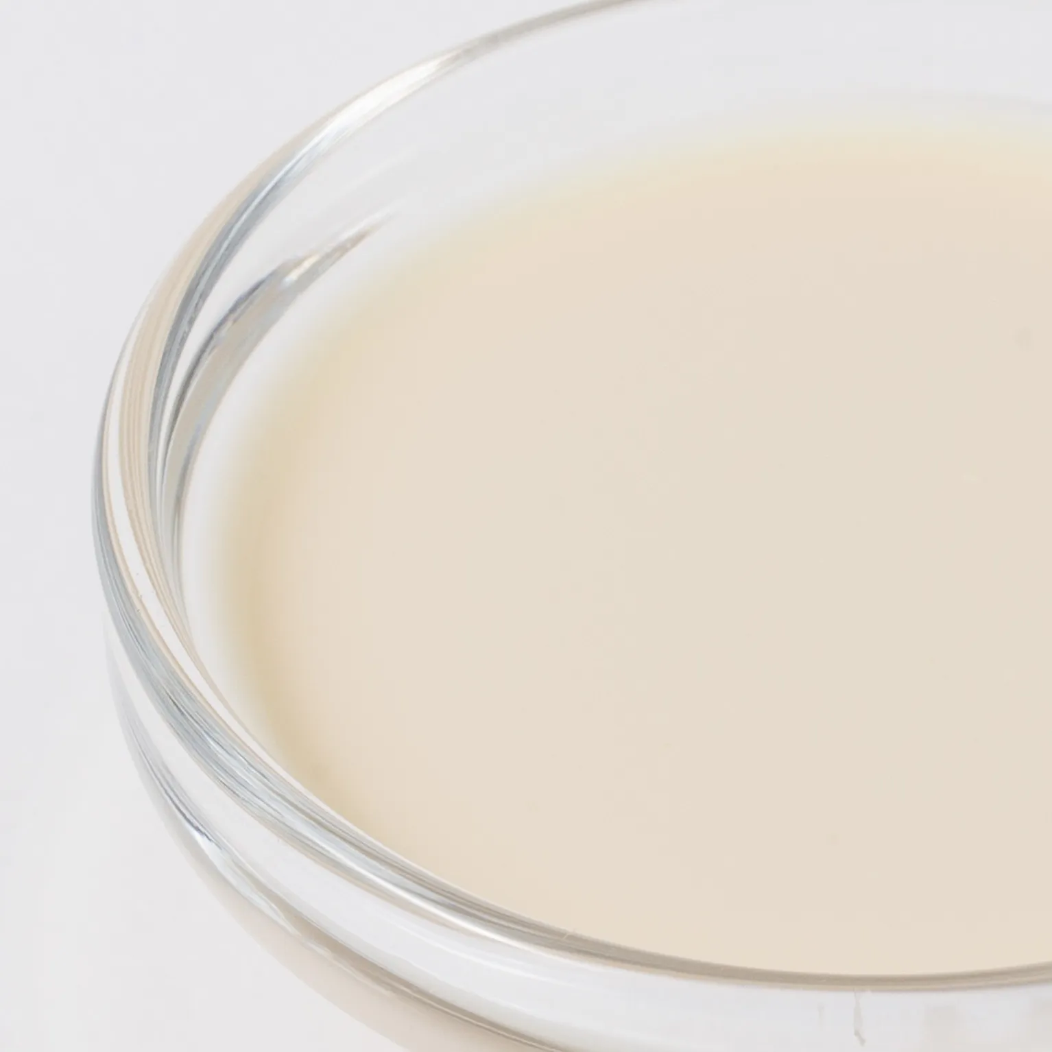 アルティザル マジック グレーズ 1022