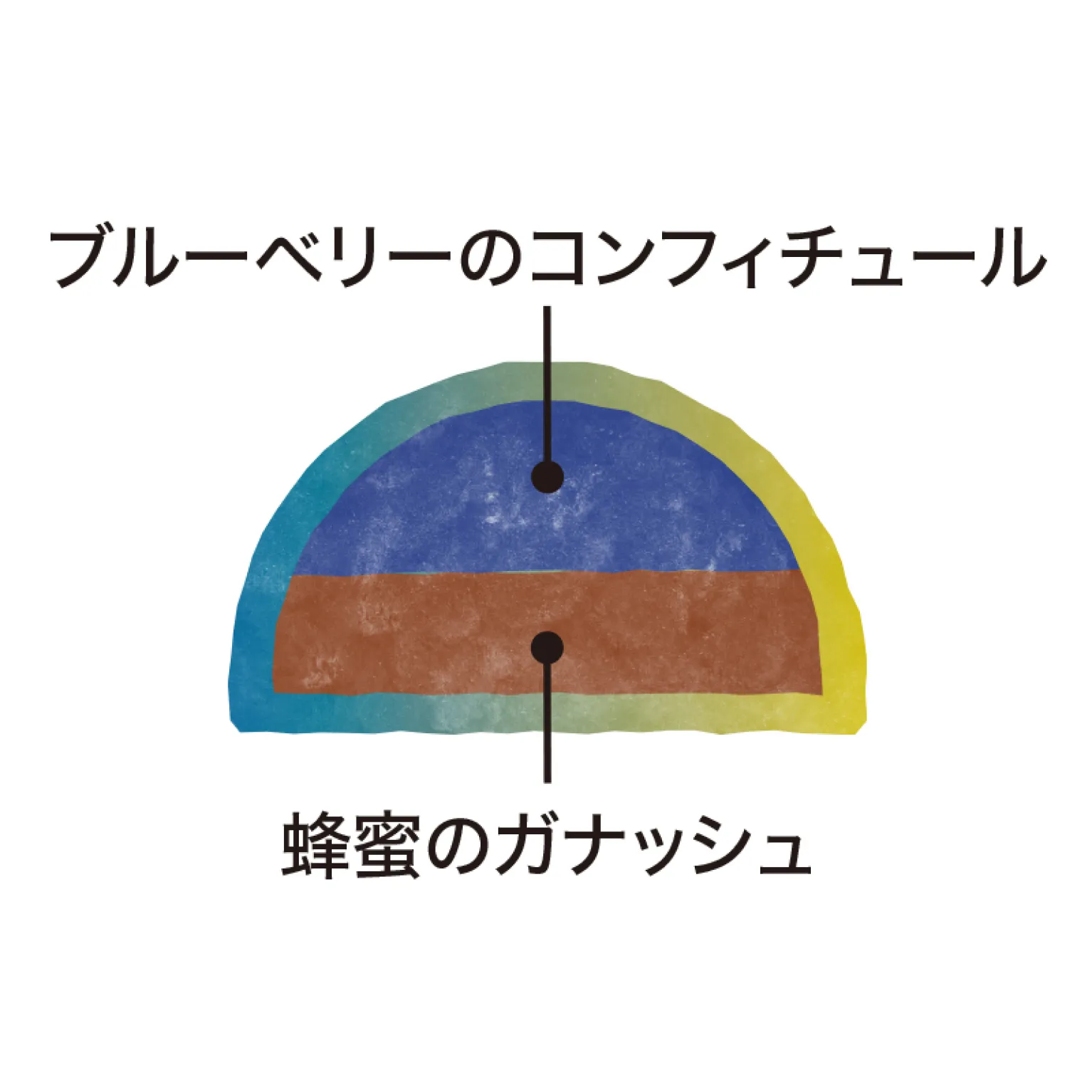 ミルティーユミエル 30