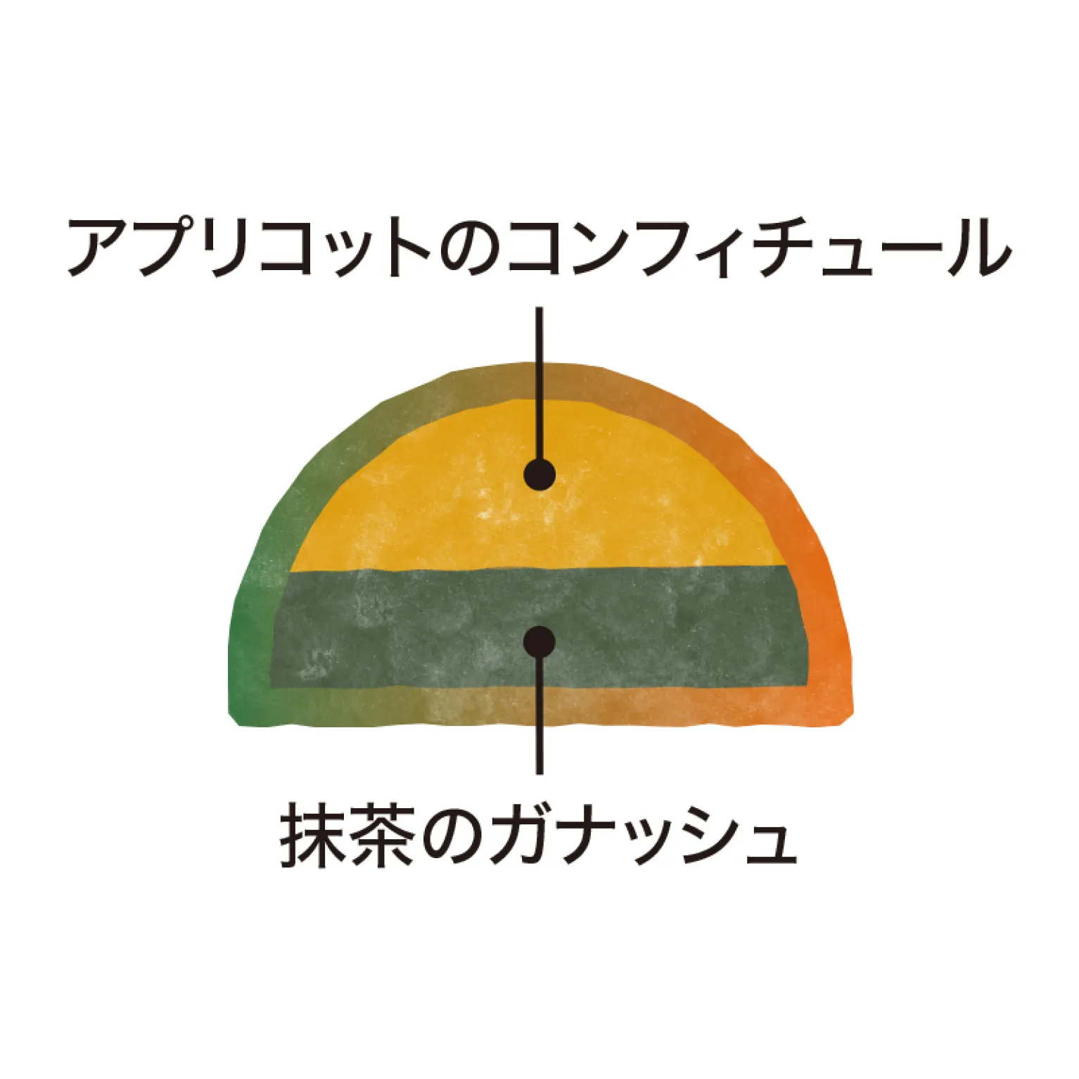 アプリコットテヴェール 30