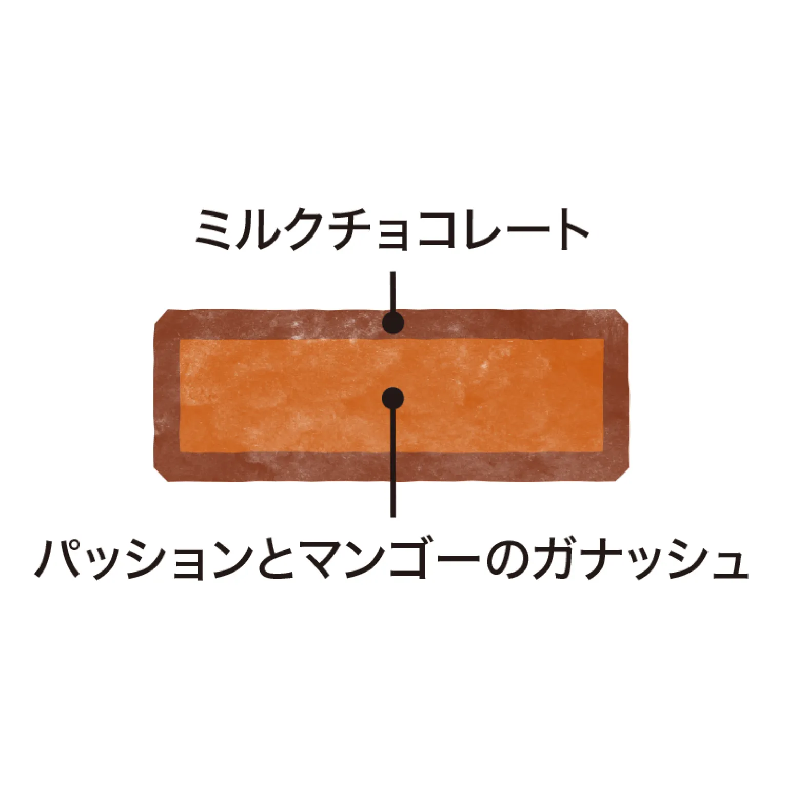 エキゾチック 30