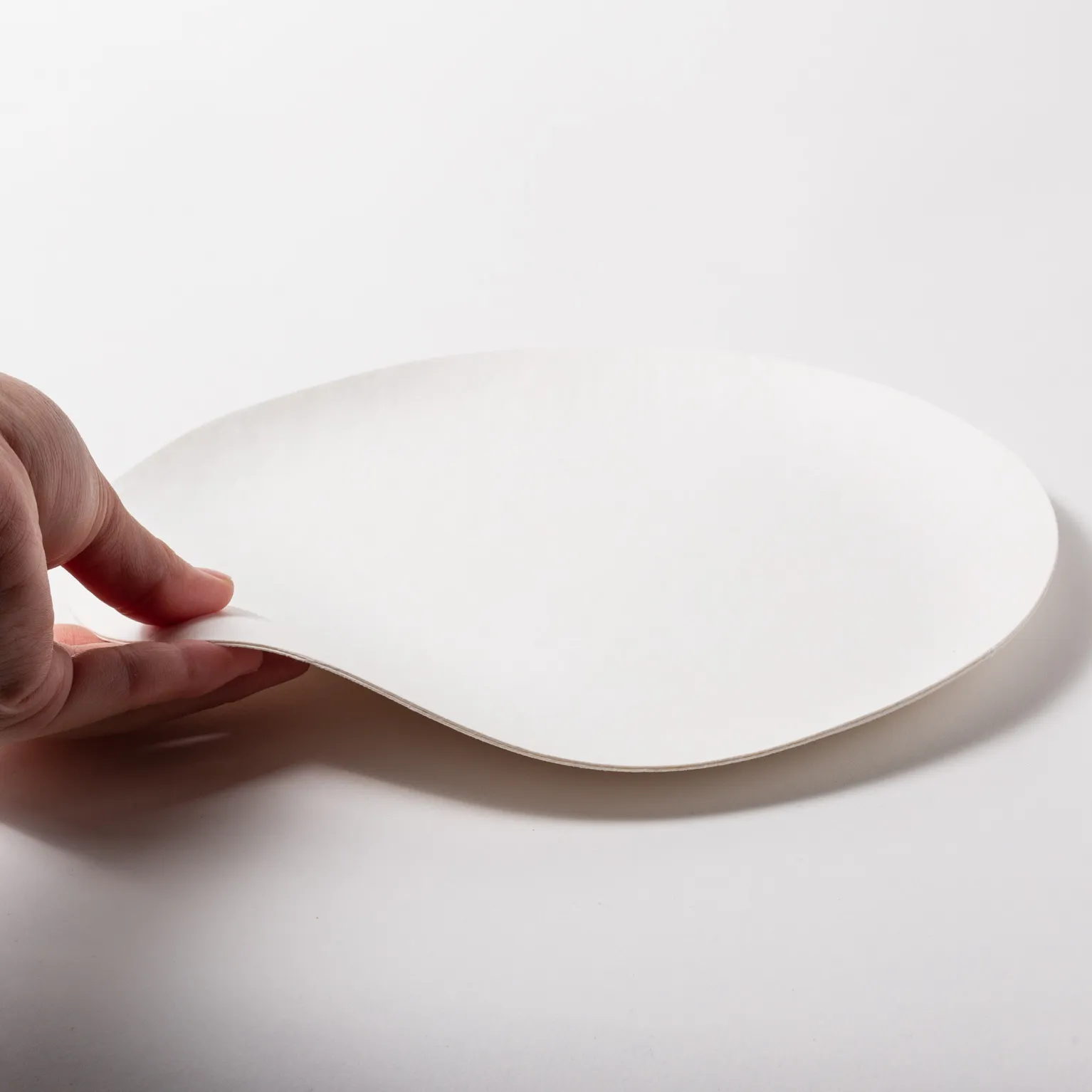 WASARA 丸皿（大） 100