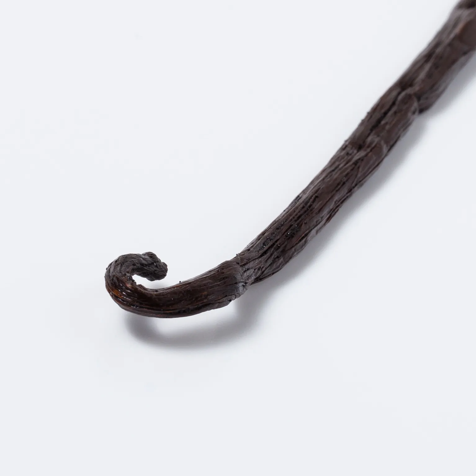 マダガスカル産バニラビーンズ 2本 : 色素・香料 | スモールビジネスの