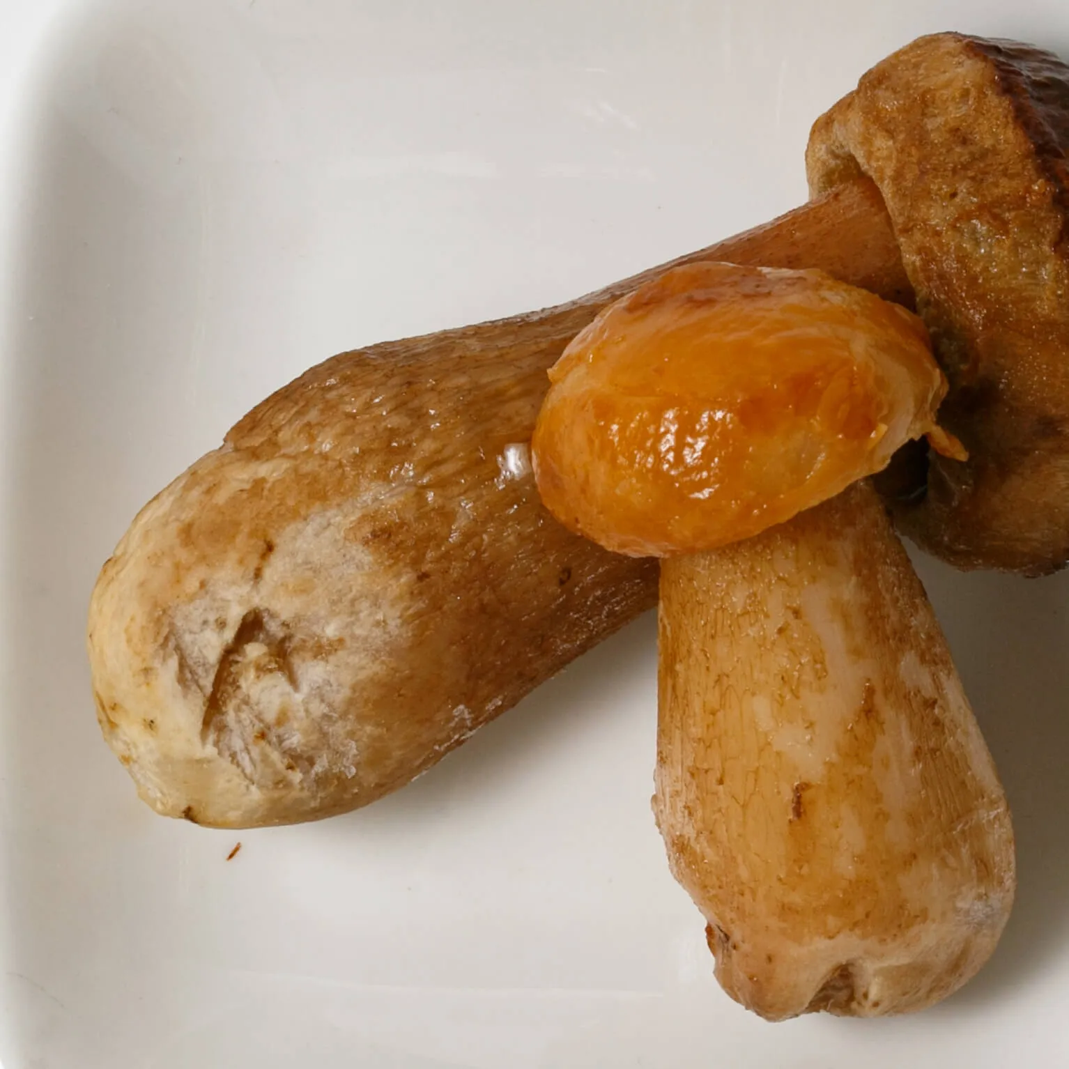 ウルバーニ  冷凍ポルチーニ ホール 1