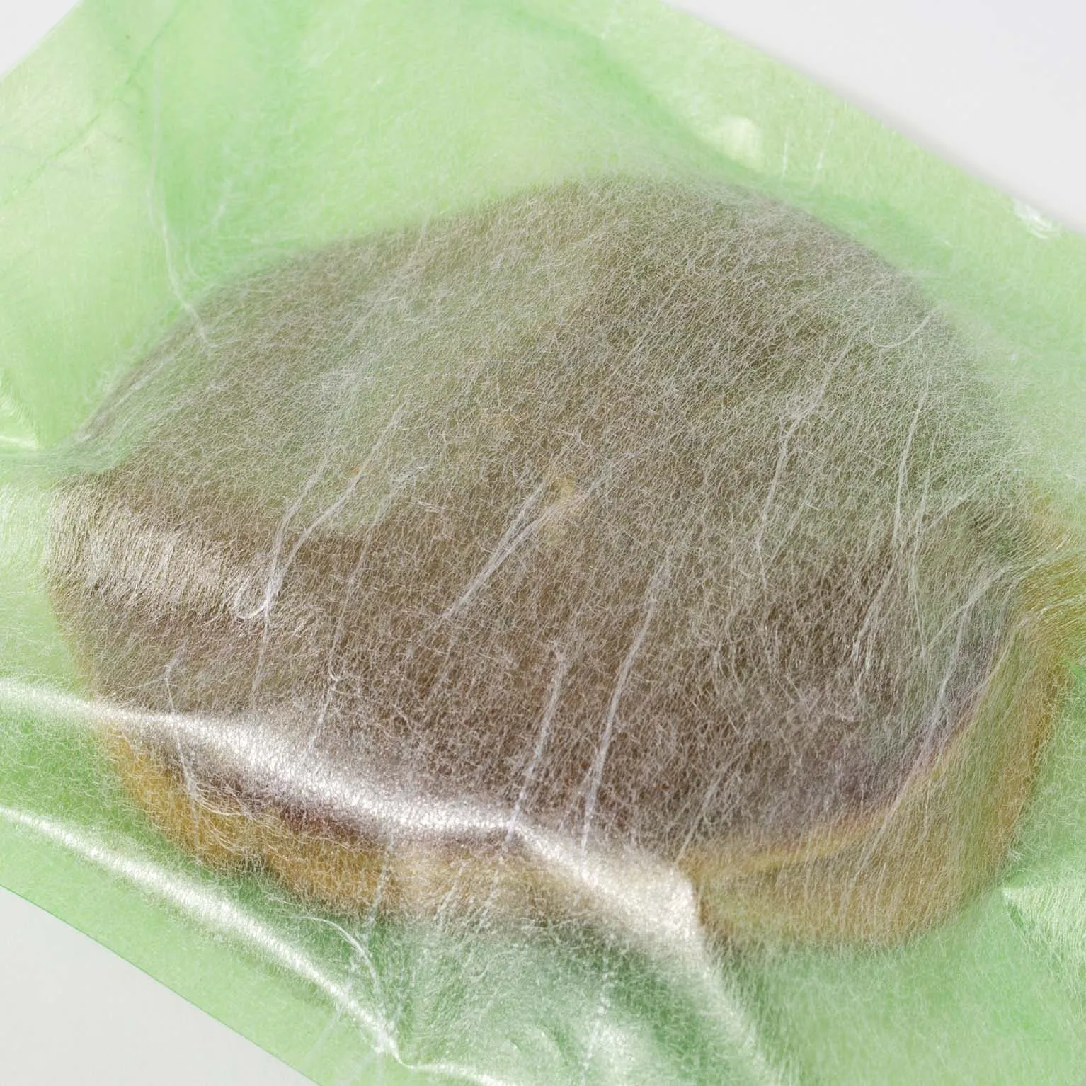 Z-39 極薄雲竜若草 500