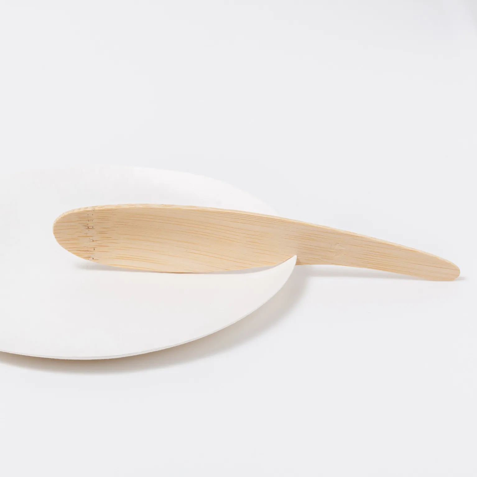 WASARA 竹製スプーン 250