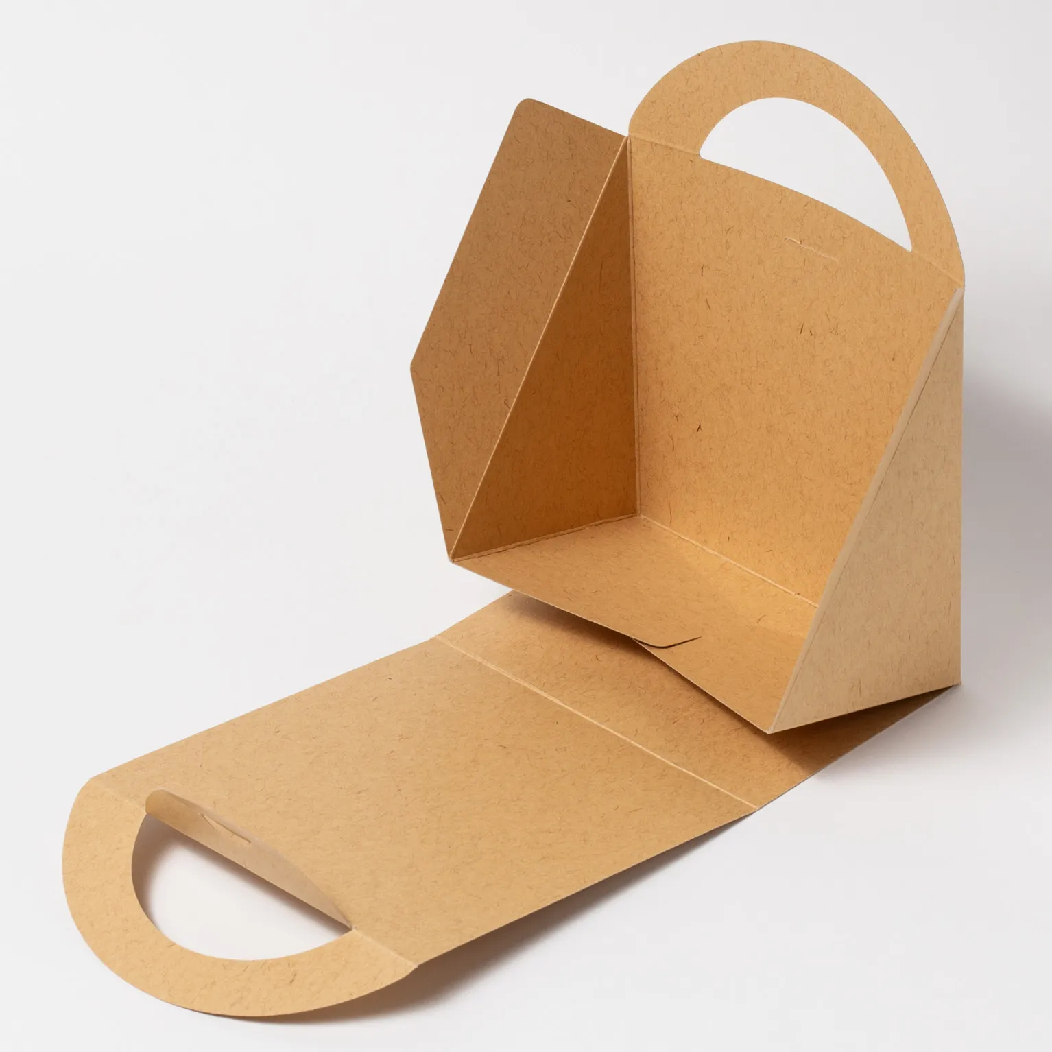 Nキャリー ウッズ 100